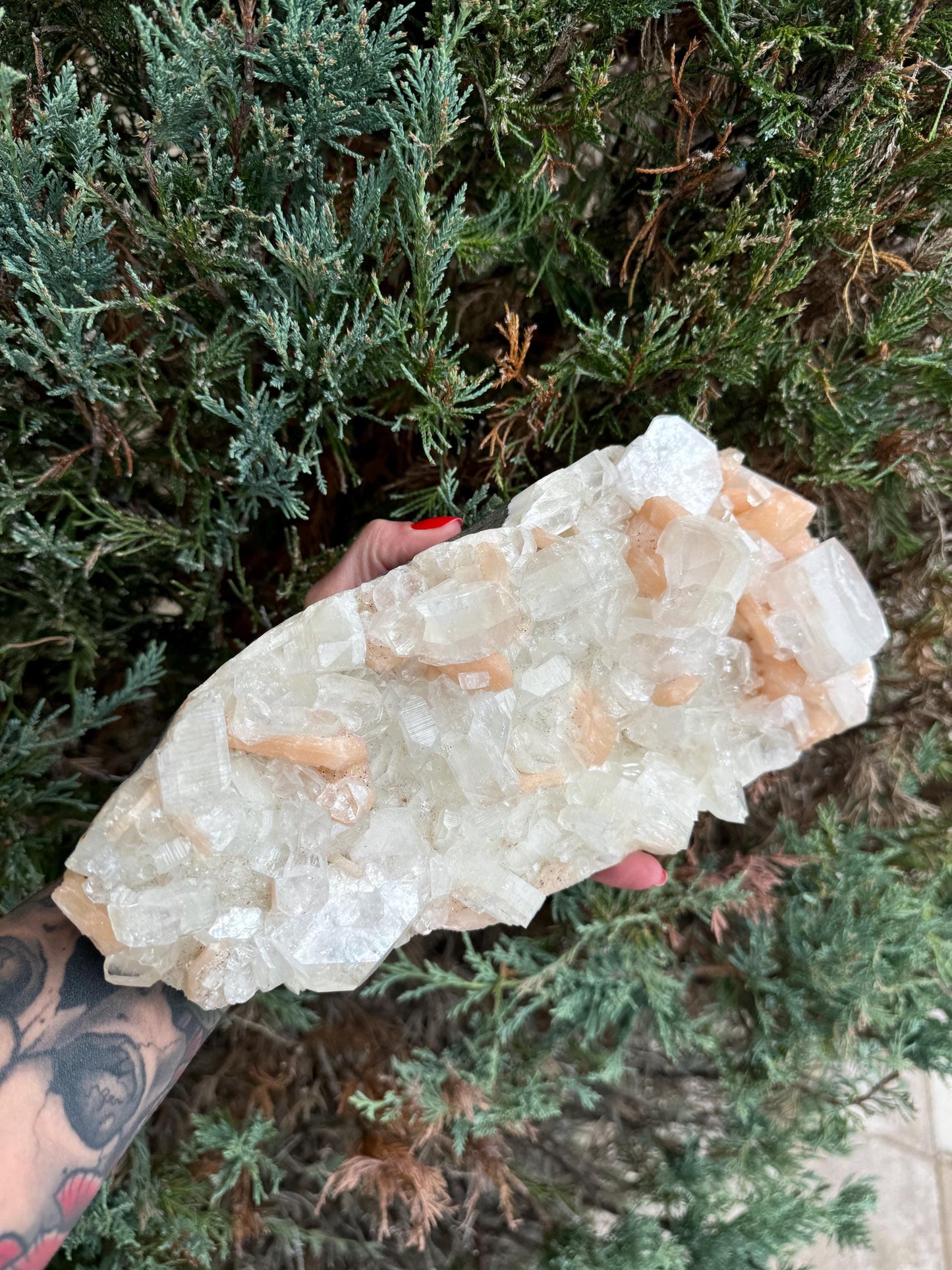 XL Diamond Apophyllite & Pink Stilbite Specimen (6.8lbs)