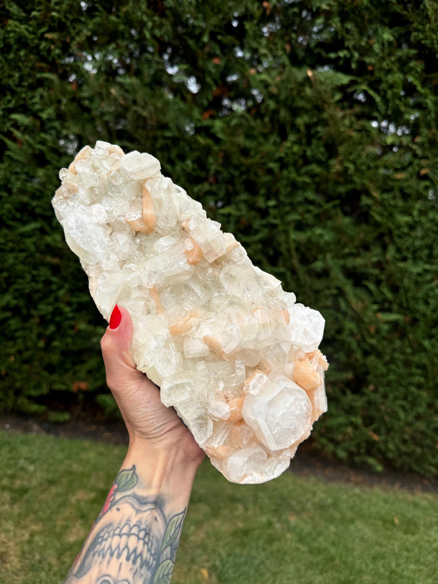 XL Diamond Apophyllite & Pink Stilbite Specimen (6.8lbs)