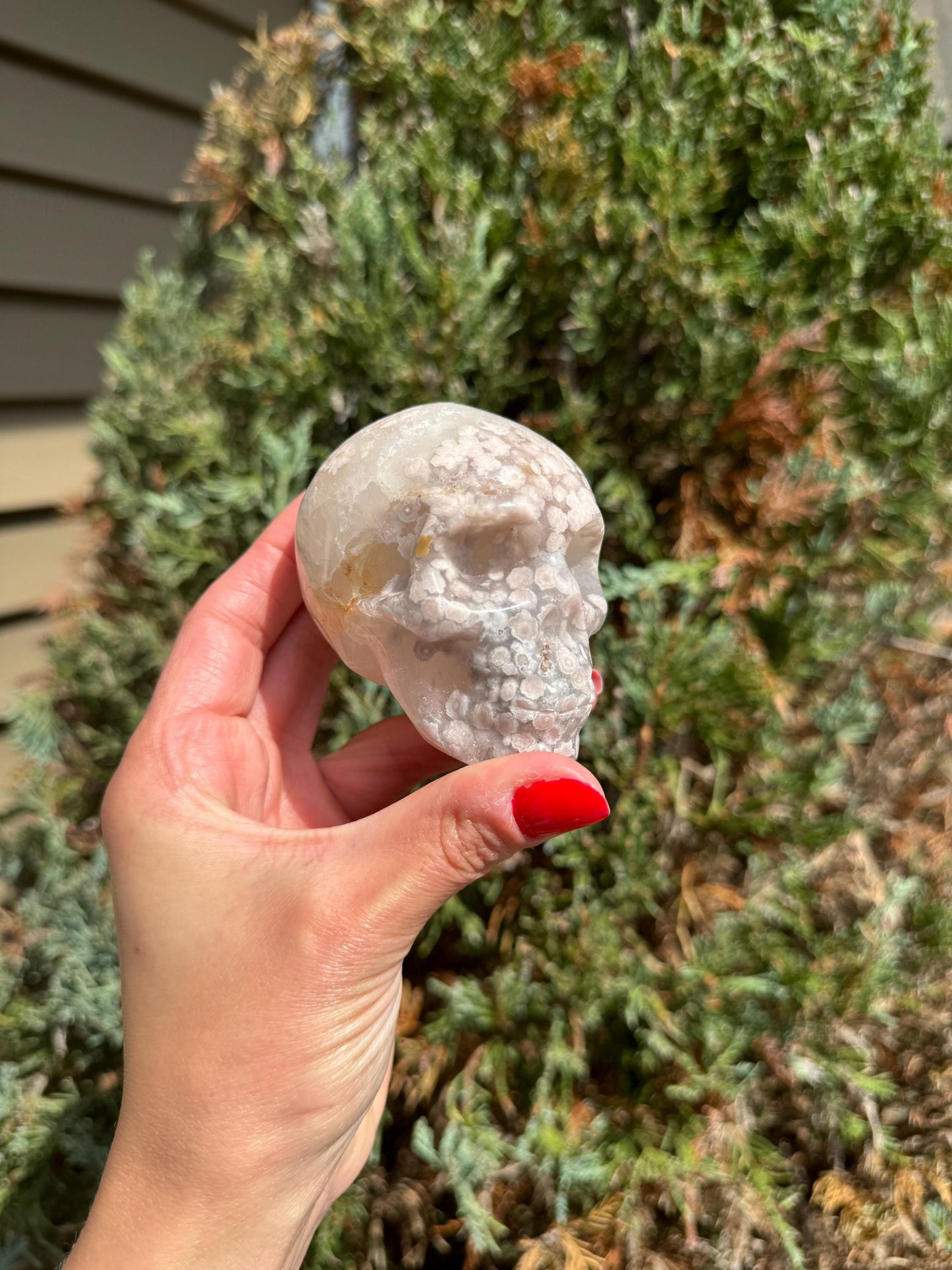 Flower Agate & Quartz Skull Carving