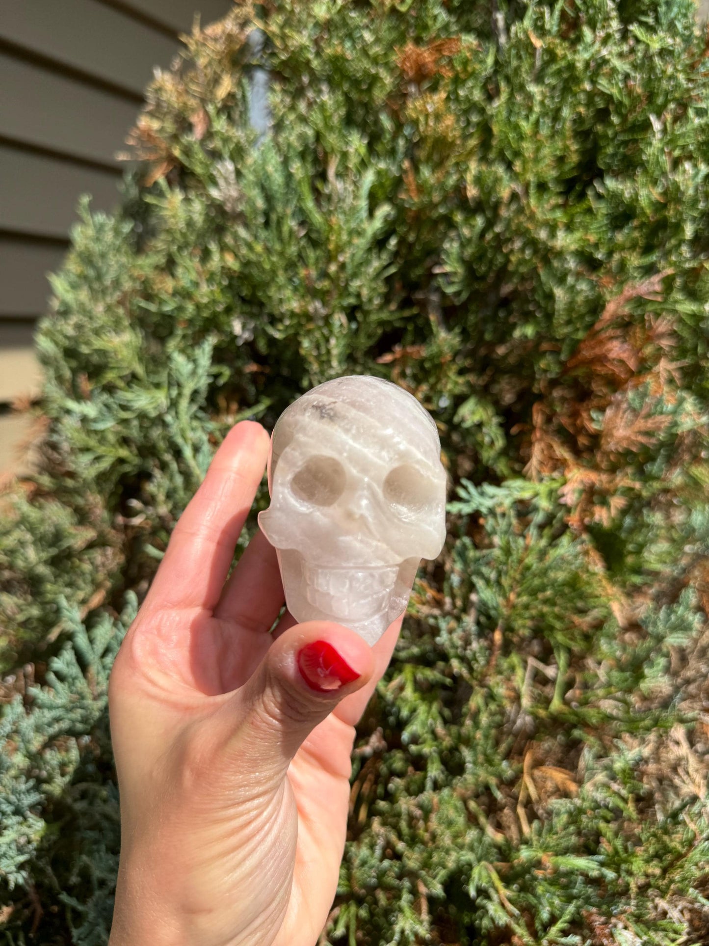 Pastel Lavender Dendritic Fluorite Skull Carving (2.73")