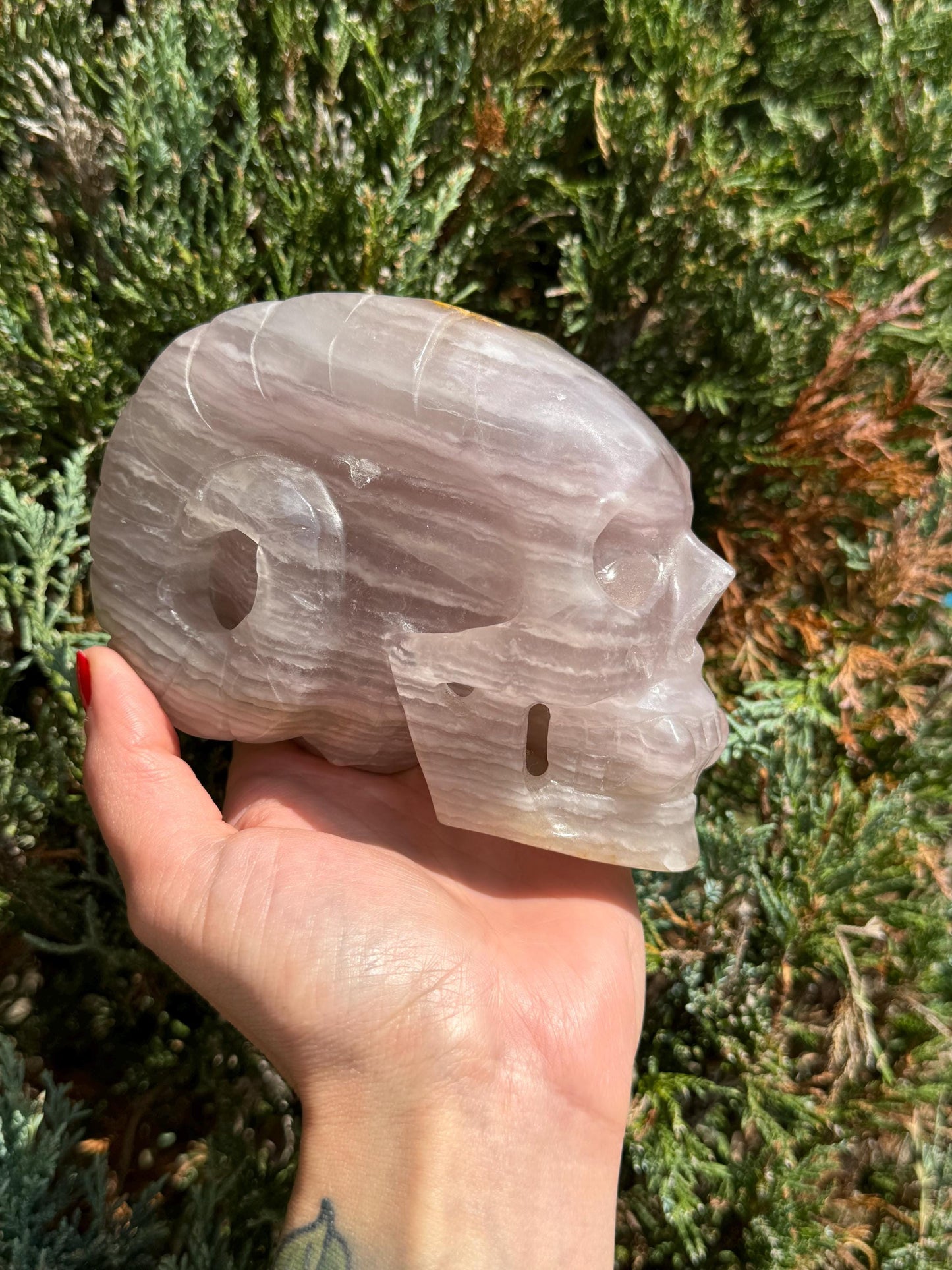XL Pastel Lavender Dendritic Fluorite Horned Skull Carving (5")