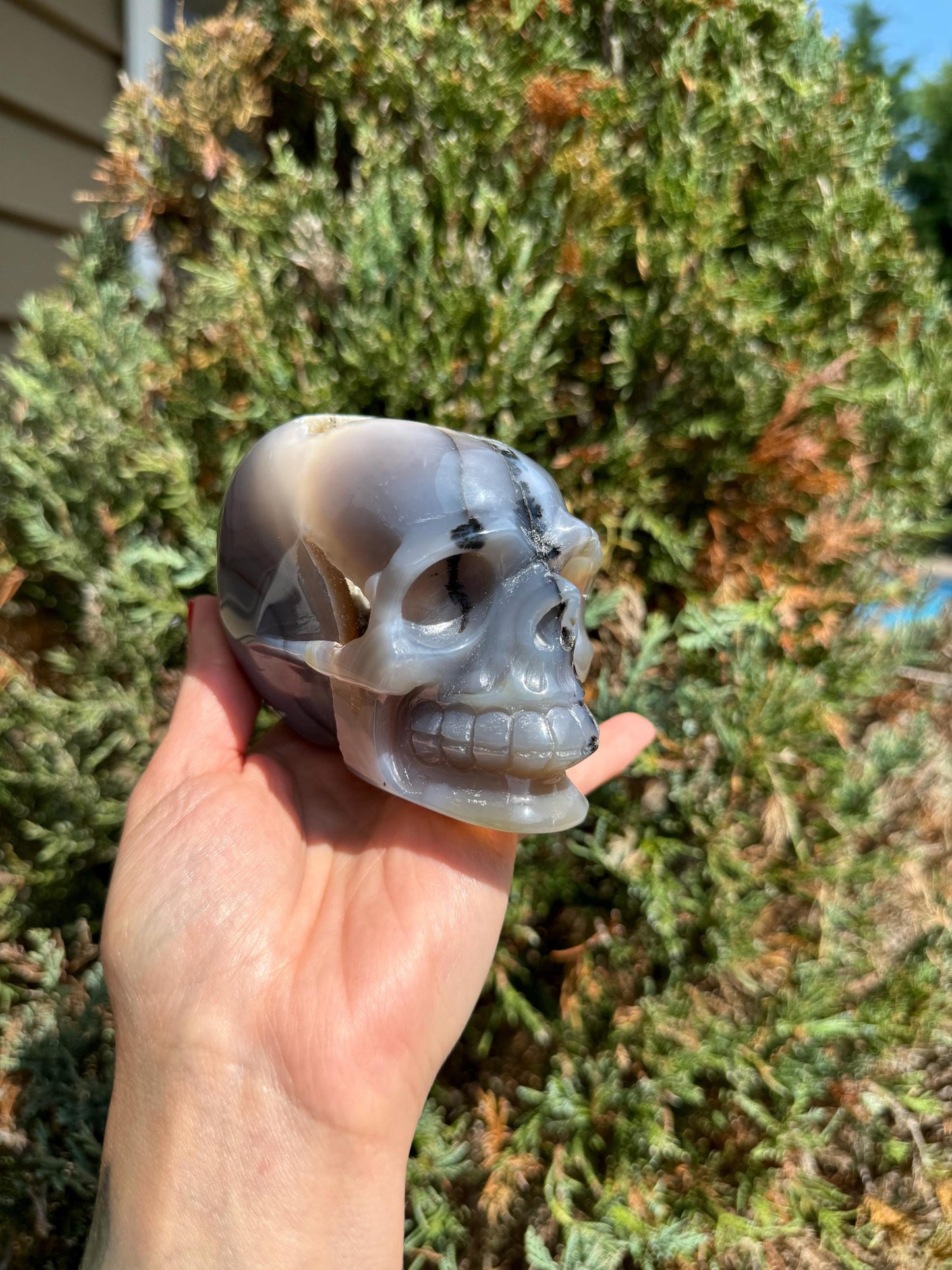Banded Dendritic Druzy Agate Skull Carving (3.88")