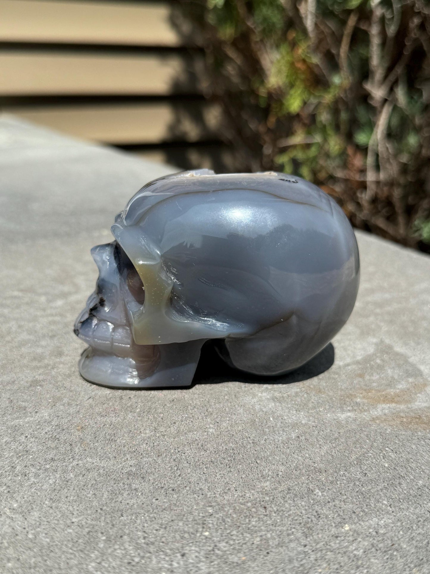 Banded Dendritic Druzy Agate Skull Carving (3.88")