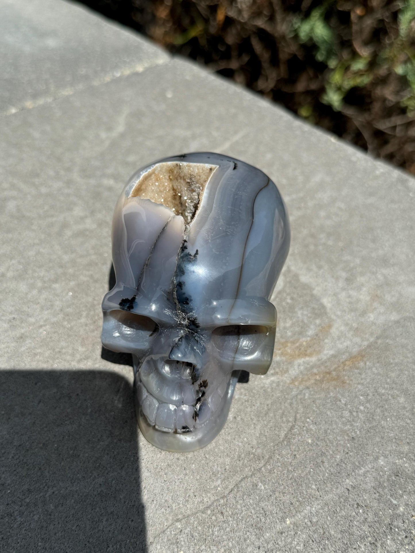 Banded Dendritic Druzy Agate Skull Carving (3.88")