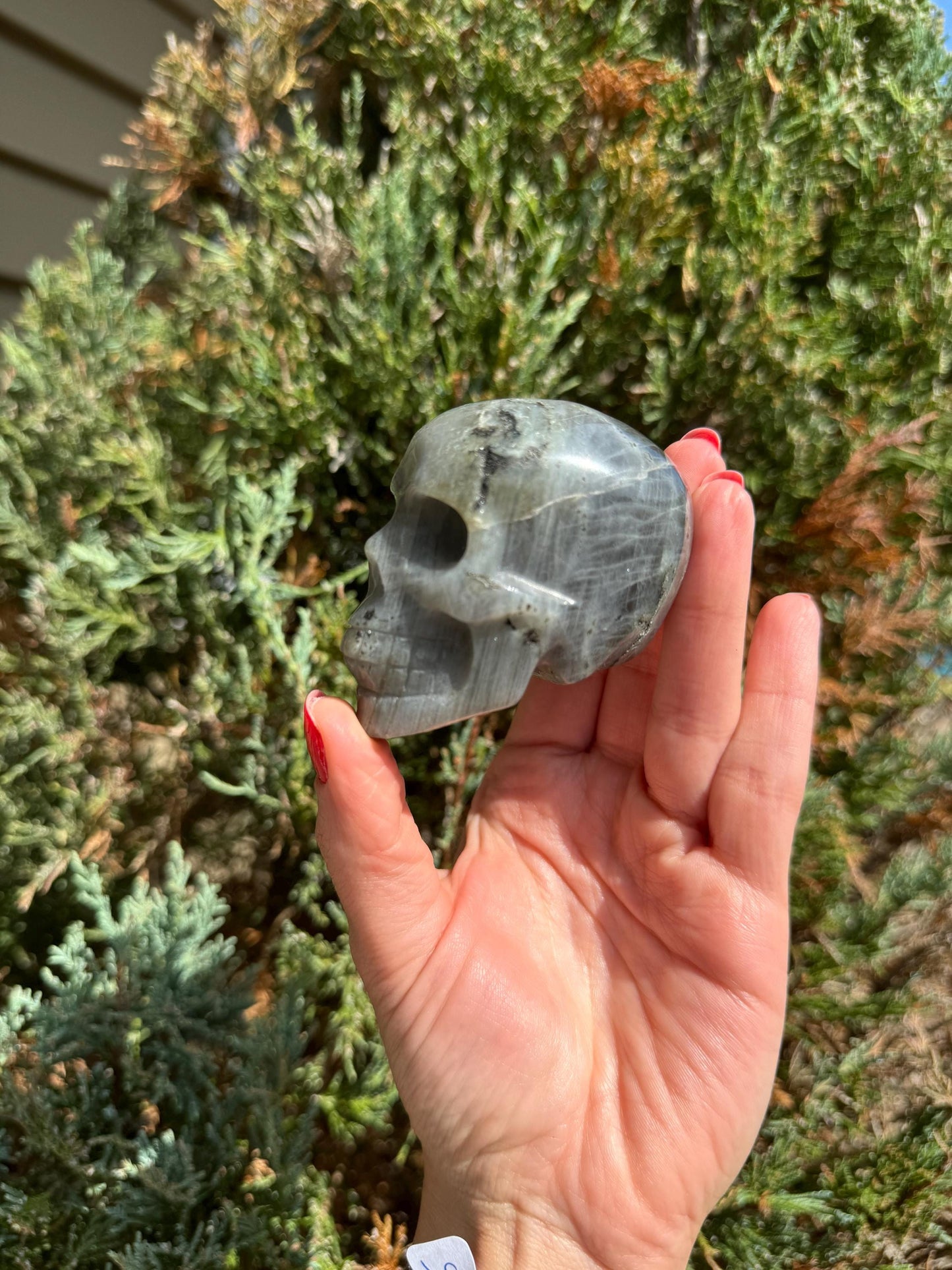 Labradorite Skull Carving