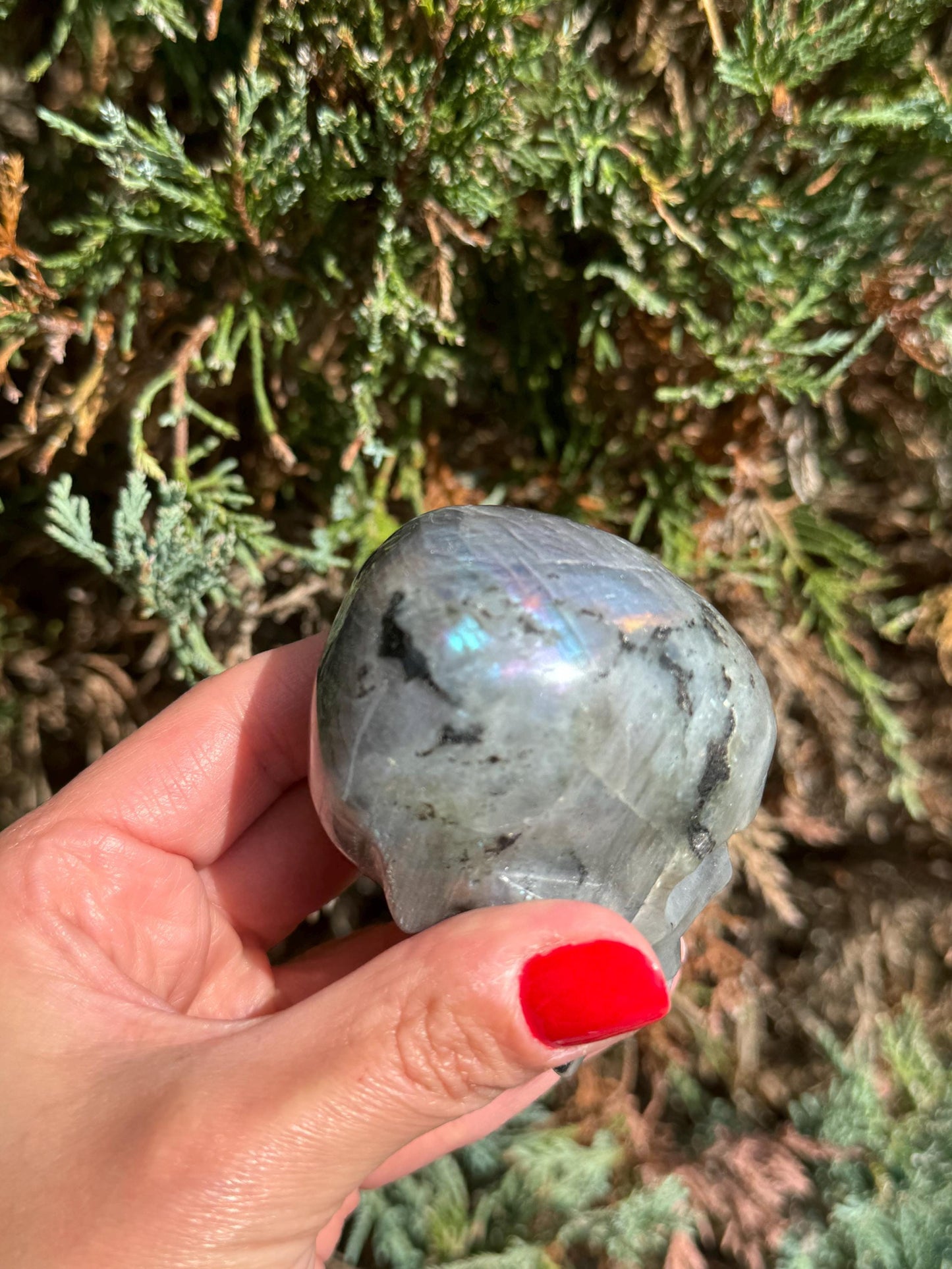 Labradorite Skull Carving