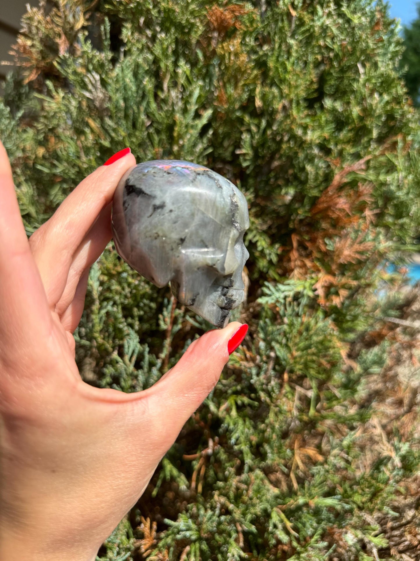 Labradorite Skull Carving