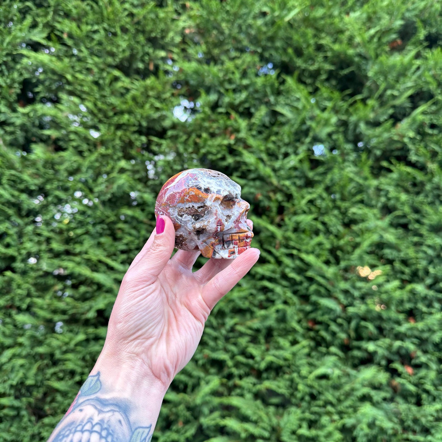 Mexican Crazy Lace Agate Skull Carving