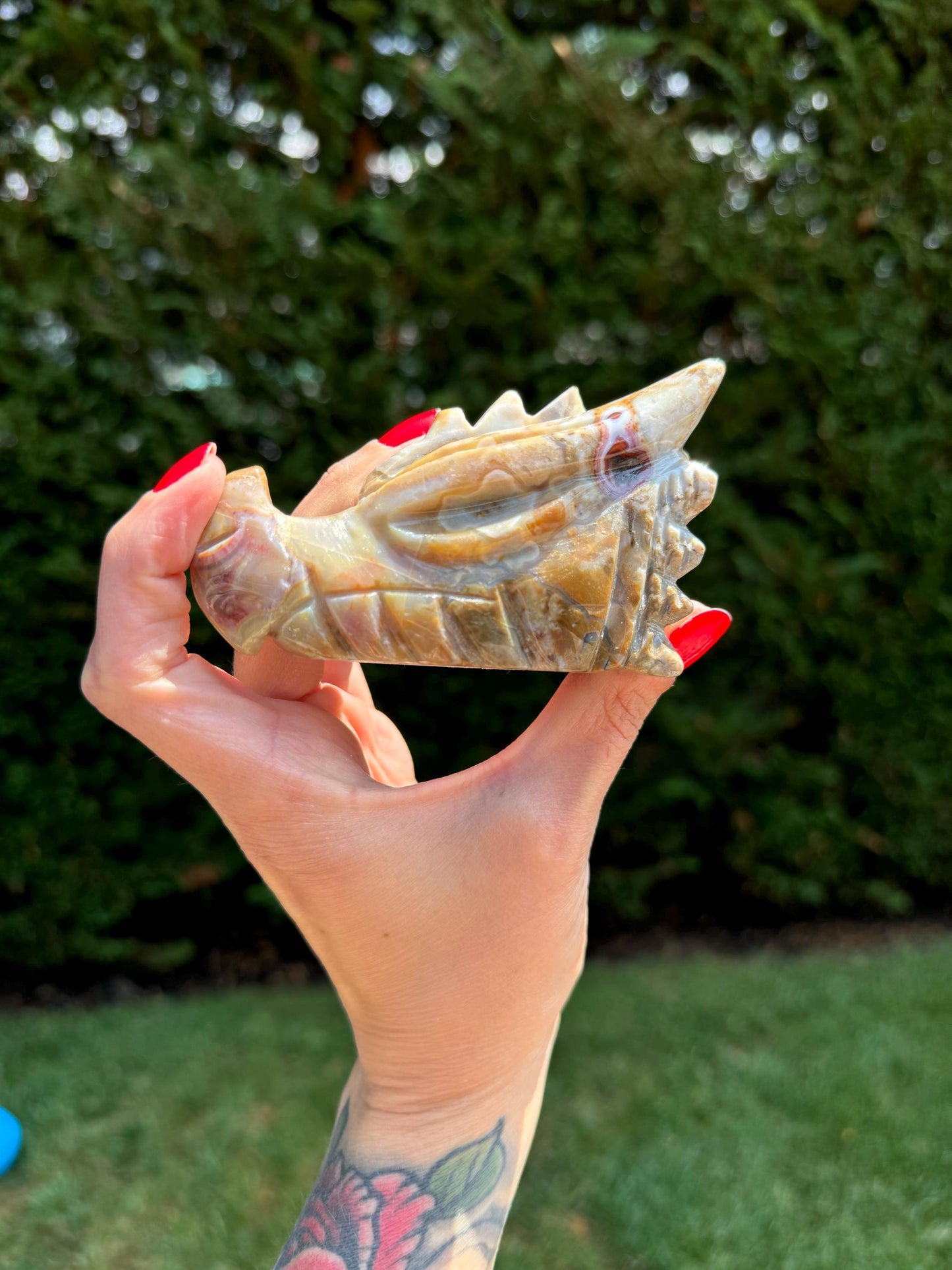Mexican Crazy Lace Agate Dragon Head Carving