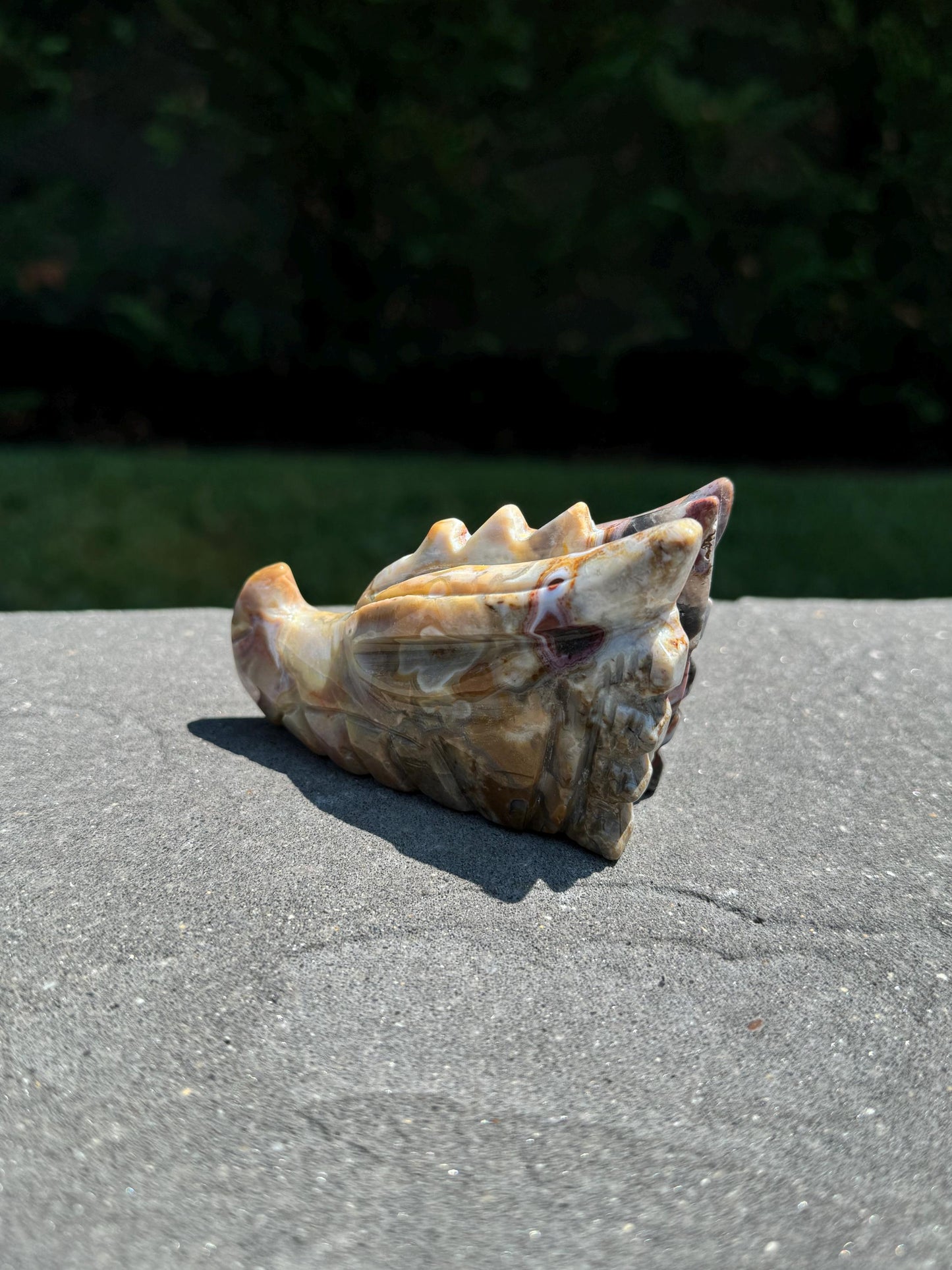 Mexican Crazy Lace Agate Dragon Head Carving