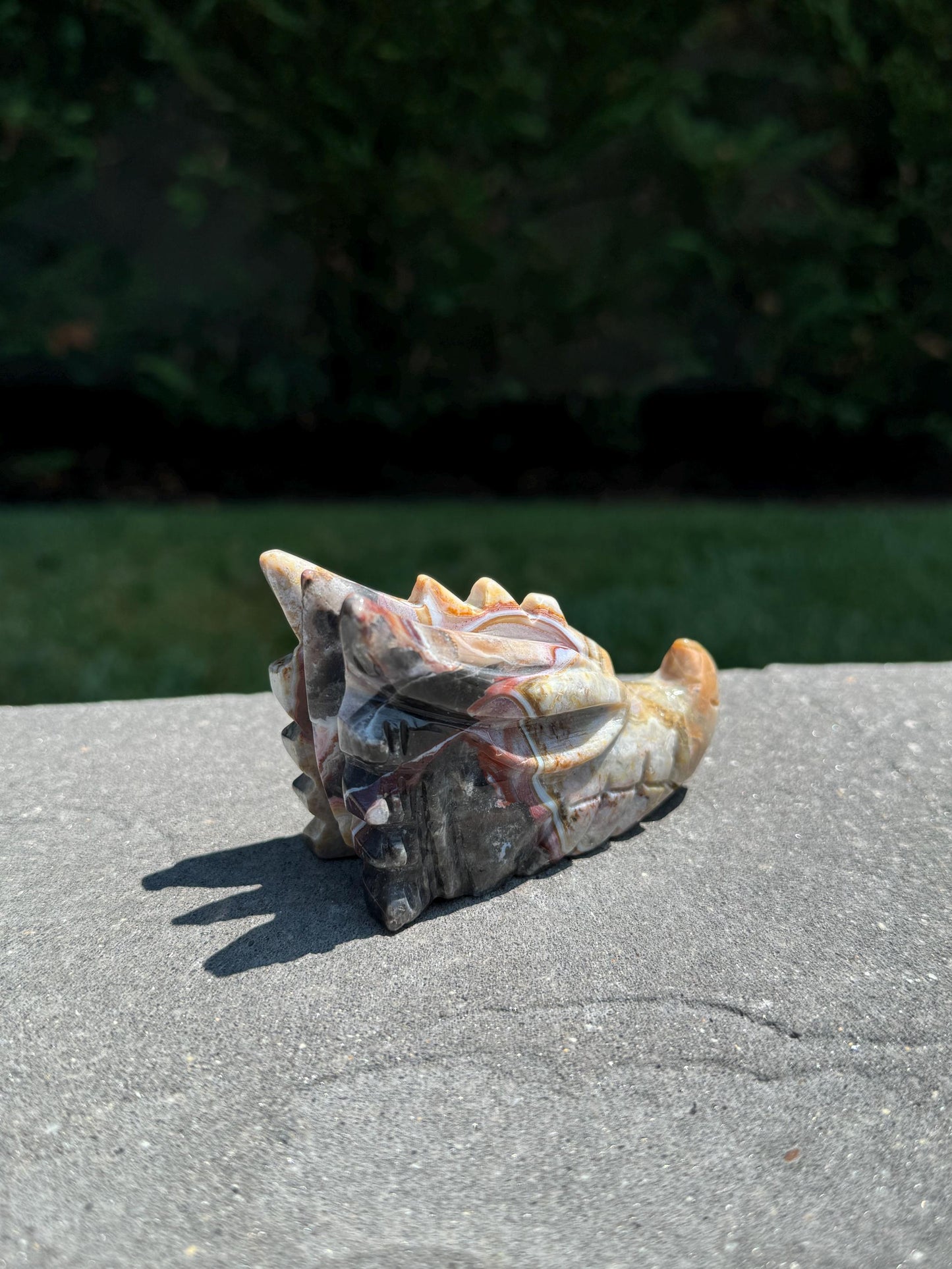 Mexican Crazy Lace Agate Dragon Head Carving