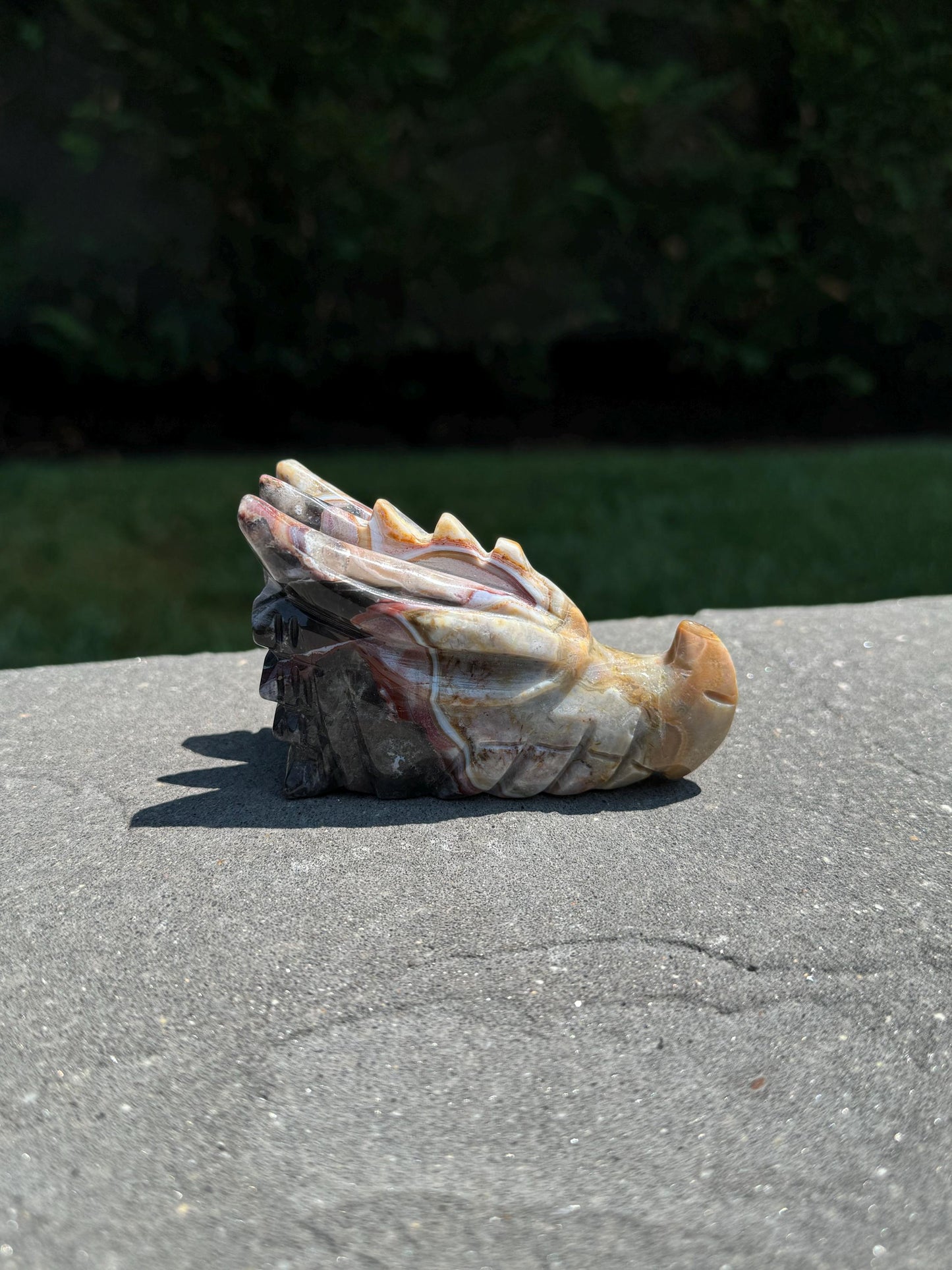 Mexican Crazy Lace Agate Dragon Head Carving