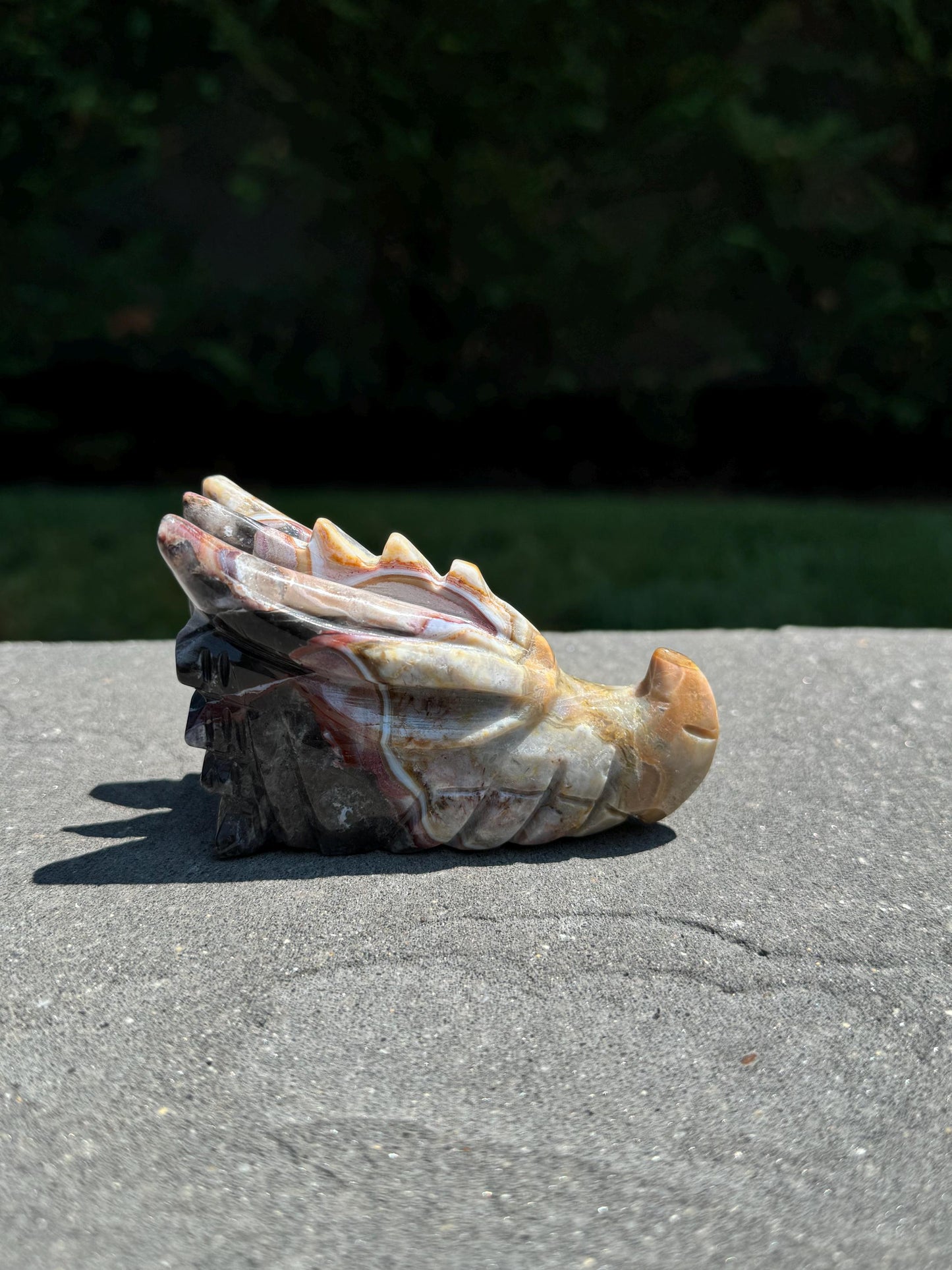 Mexican Crazy Lace Agate Dragon Head Carving