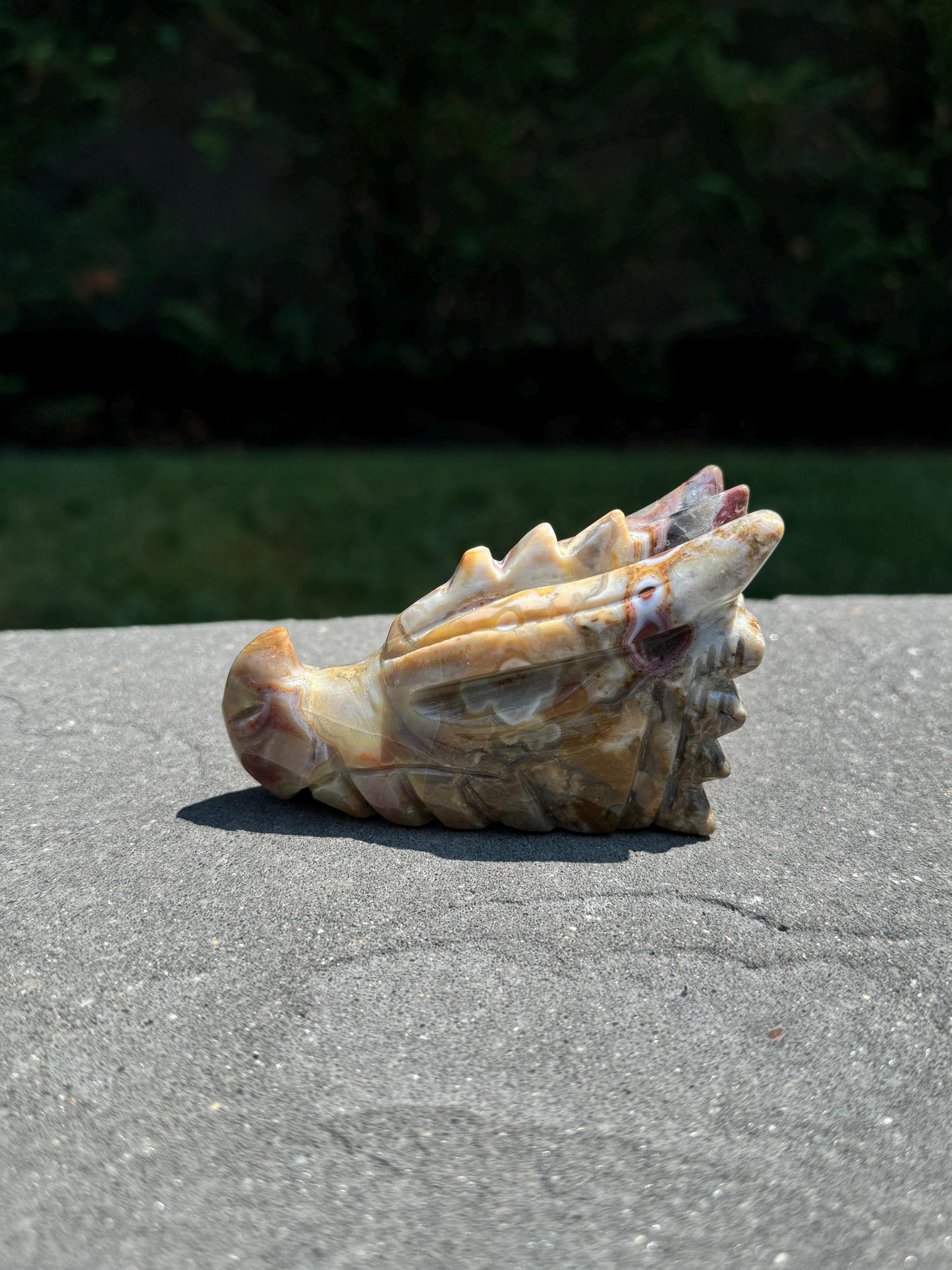 Mexican Crazy Lace Agate Dragon Head Carving