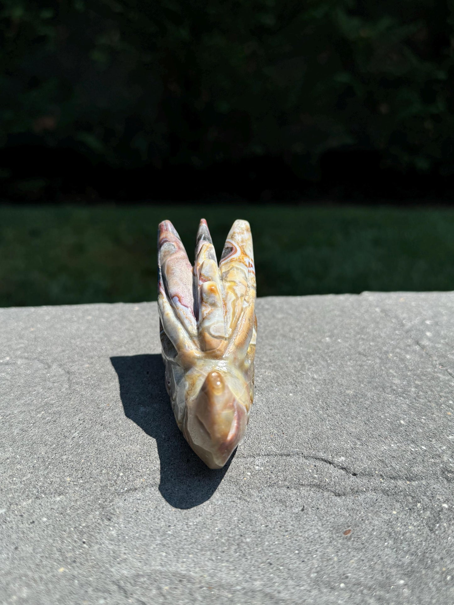 Mexican Crazy Lace Agate Dragon Head Carving
