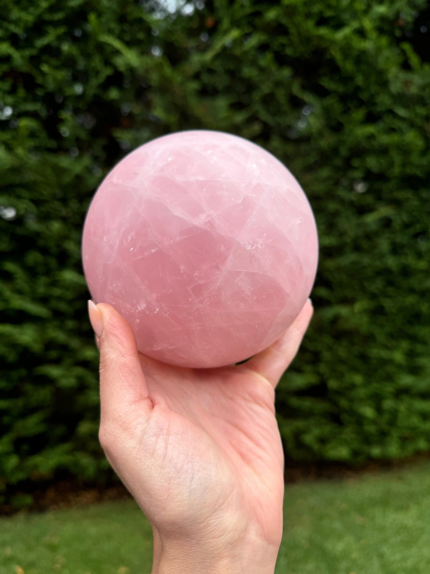 XL Rose Quartz Sphere (113MM)
