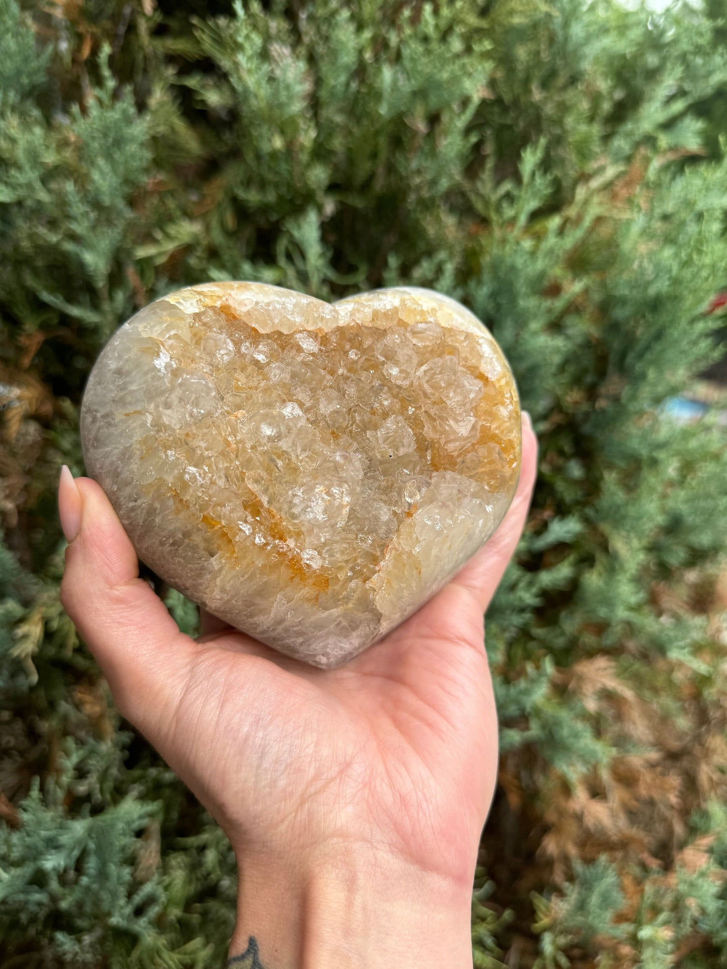 Golden Druzy Orca Agate Heart