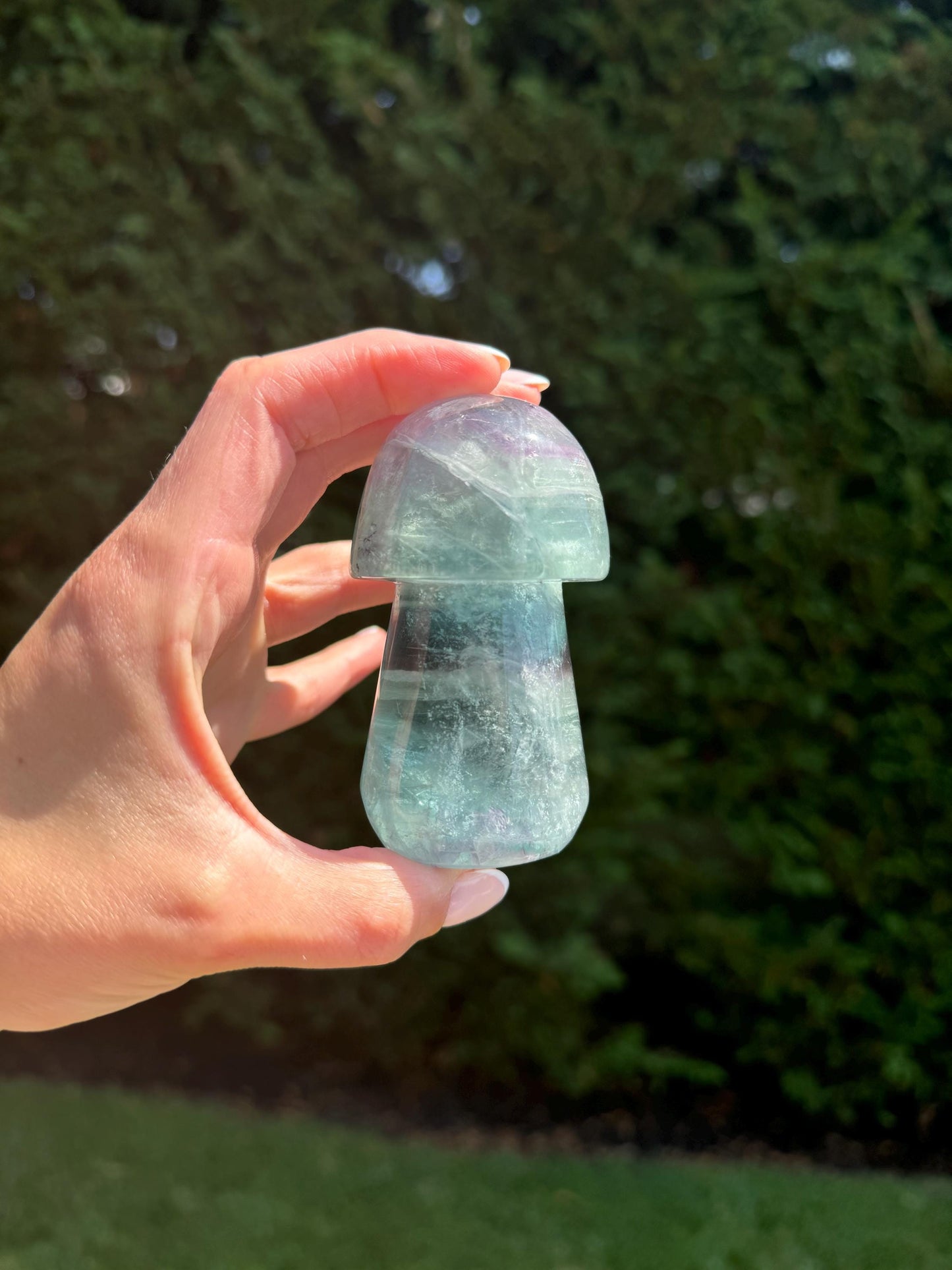 Banded Dendritic Rainbow Fluorite Mushroom Carving