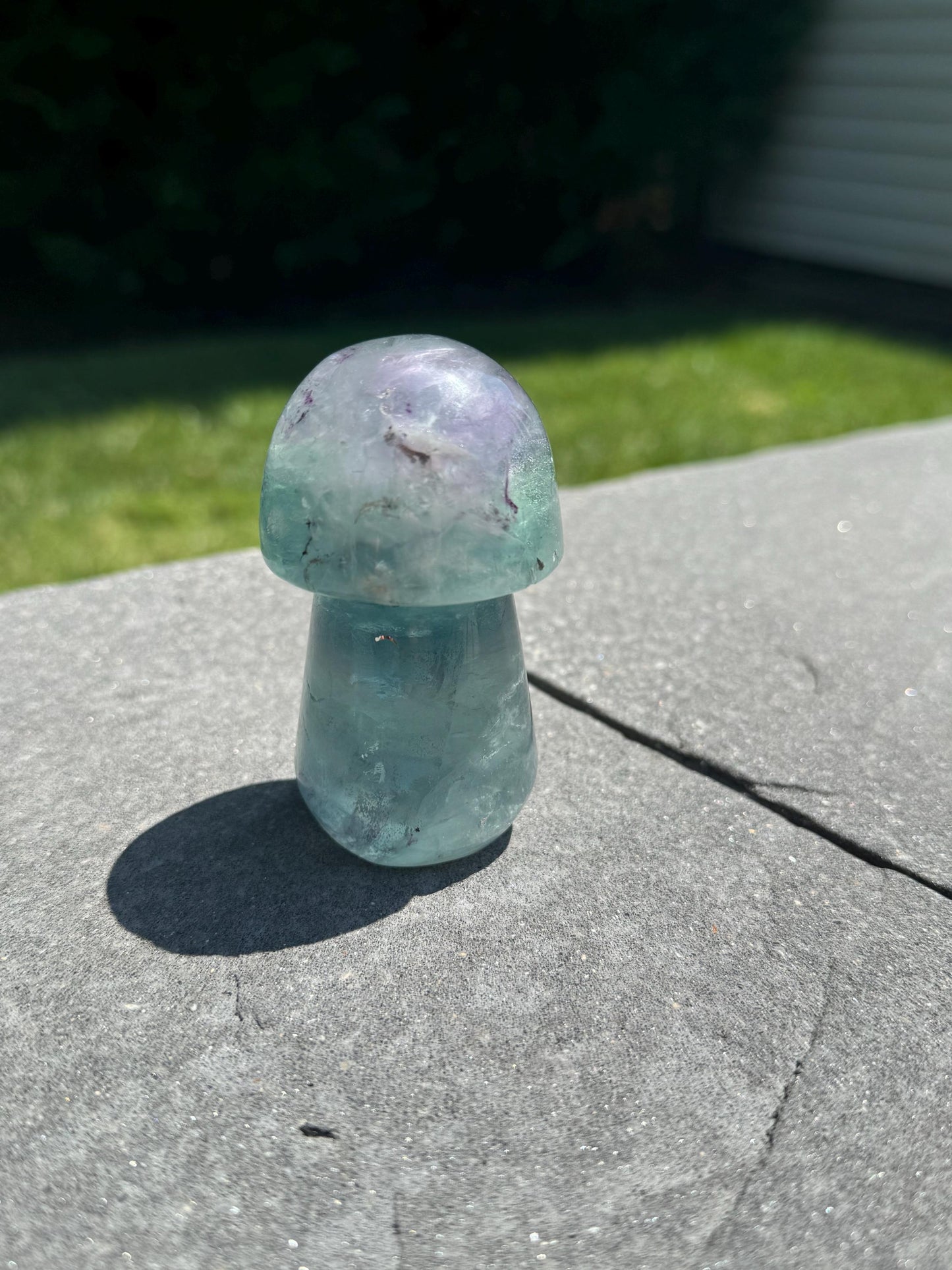 Banded Dendritic Rainbow Fluorite Mushroom Carving