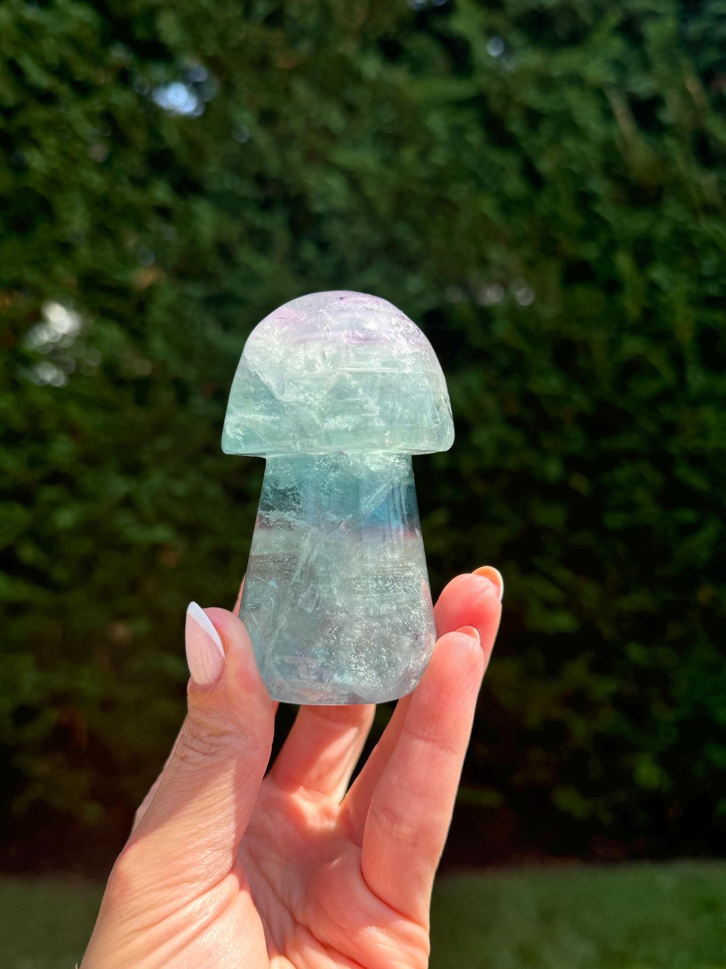 Banded Dendritic Rainbow Fluorite Mushroom Carving