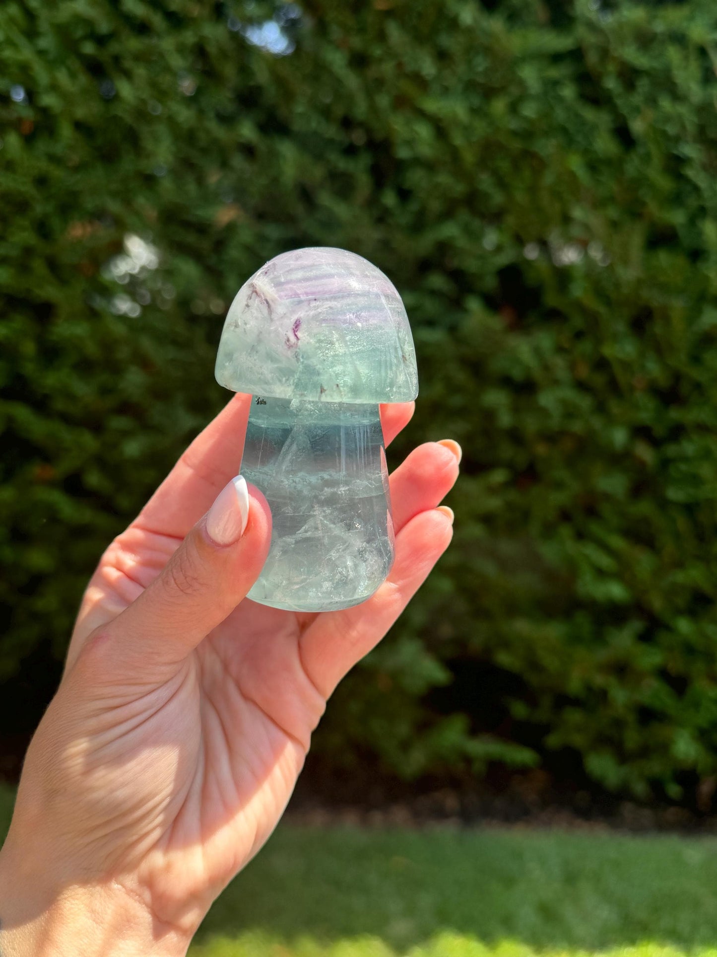 Banded Dendritic Rainbow Fluorite Mushroom Carving