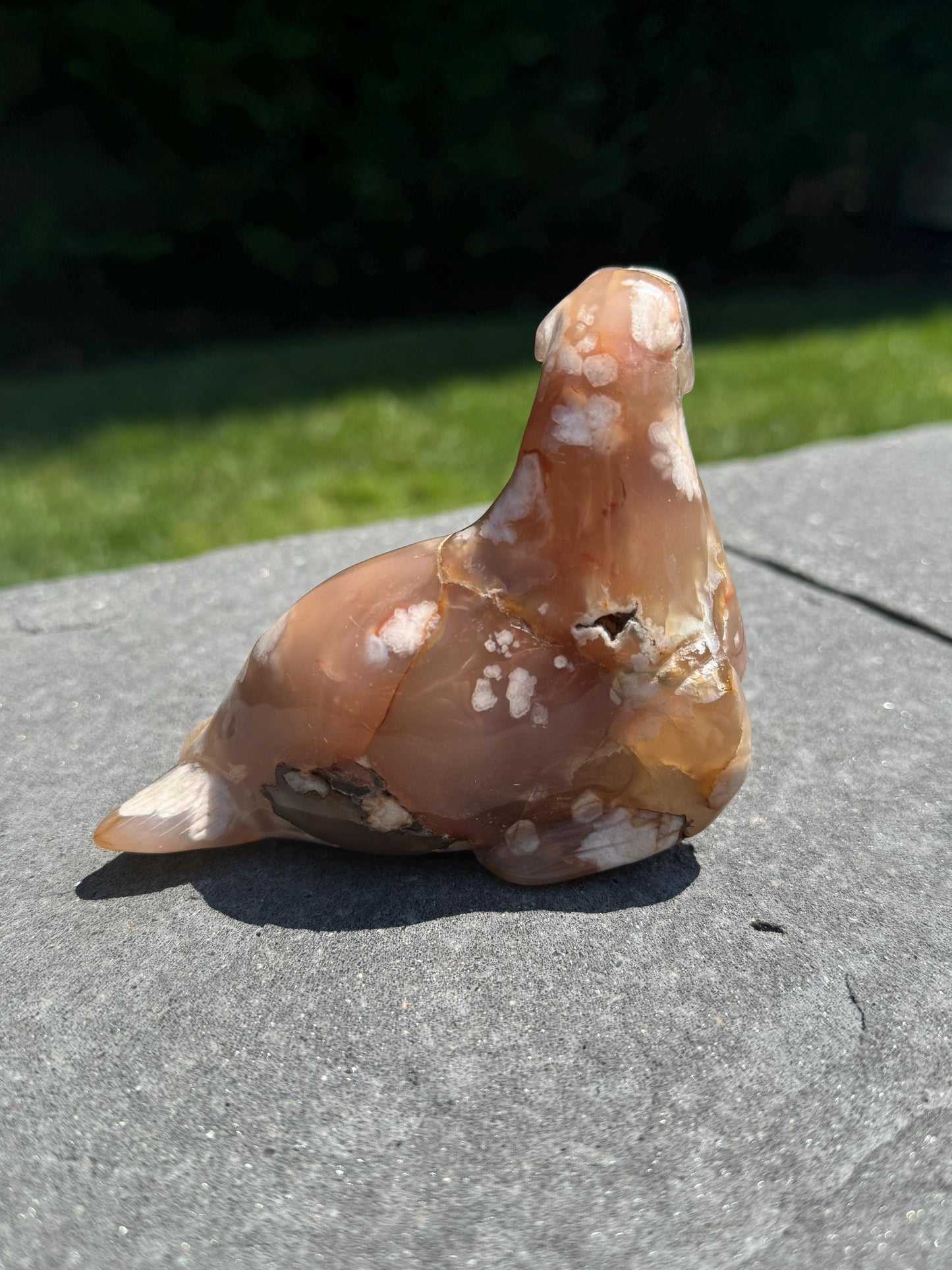 Druzy Flower Agate Seal Carving