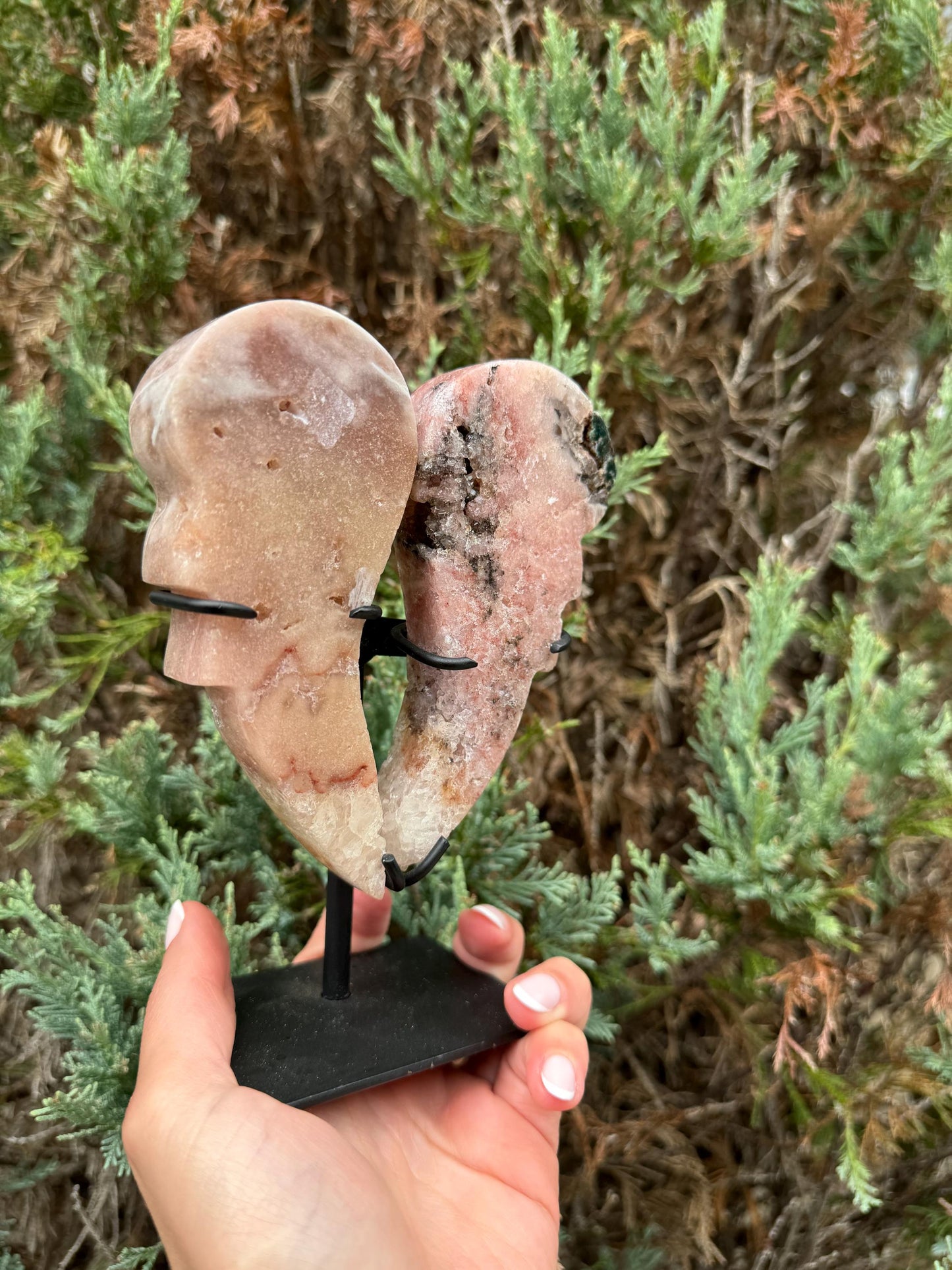 Druzy Pink Amethyst Wings on Stand