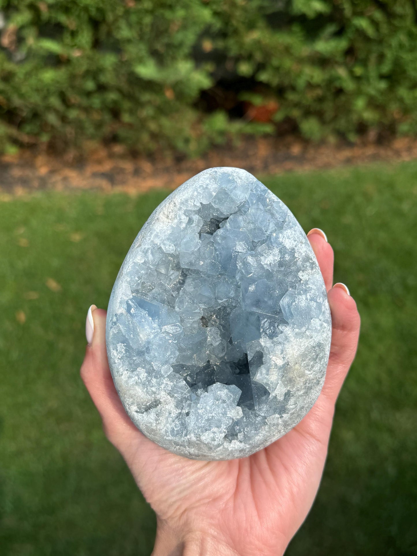 Blue Celestite Egg Carving (2.5lbs)