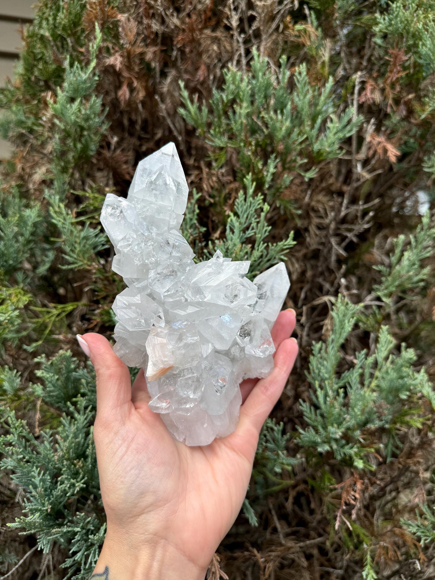 XL Indian Diamond Apophyllite & Pink Stilbite Specimen (1.87lbs)