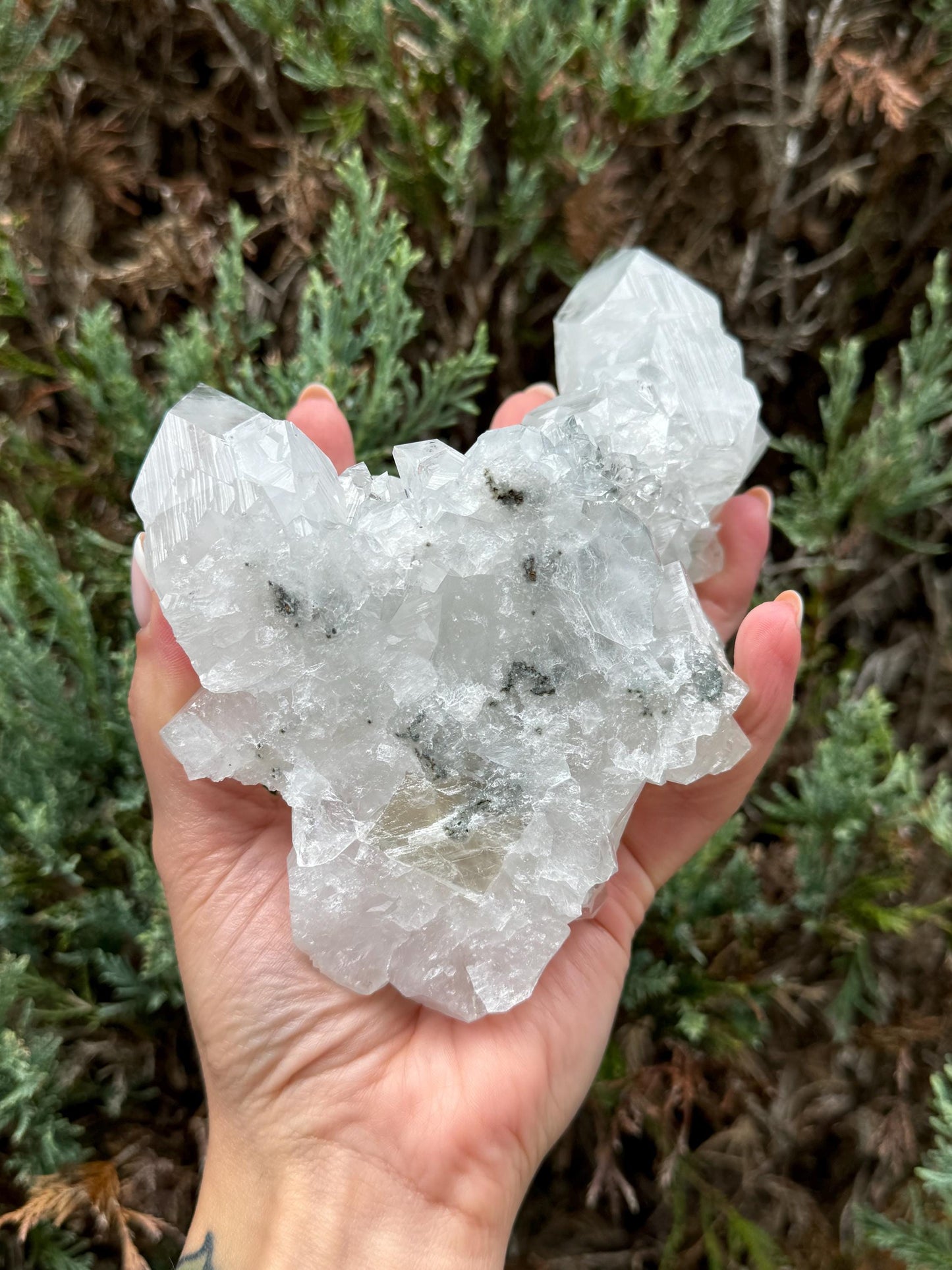 XL Indian Diamond Apophyllite & Pink Stilbite Specimen (1.87lbs)