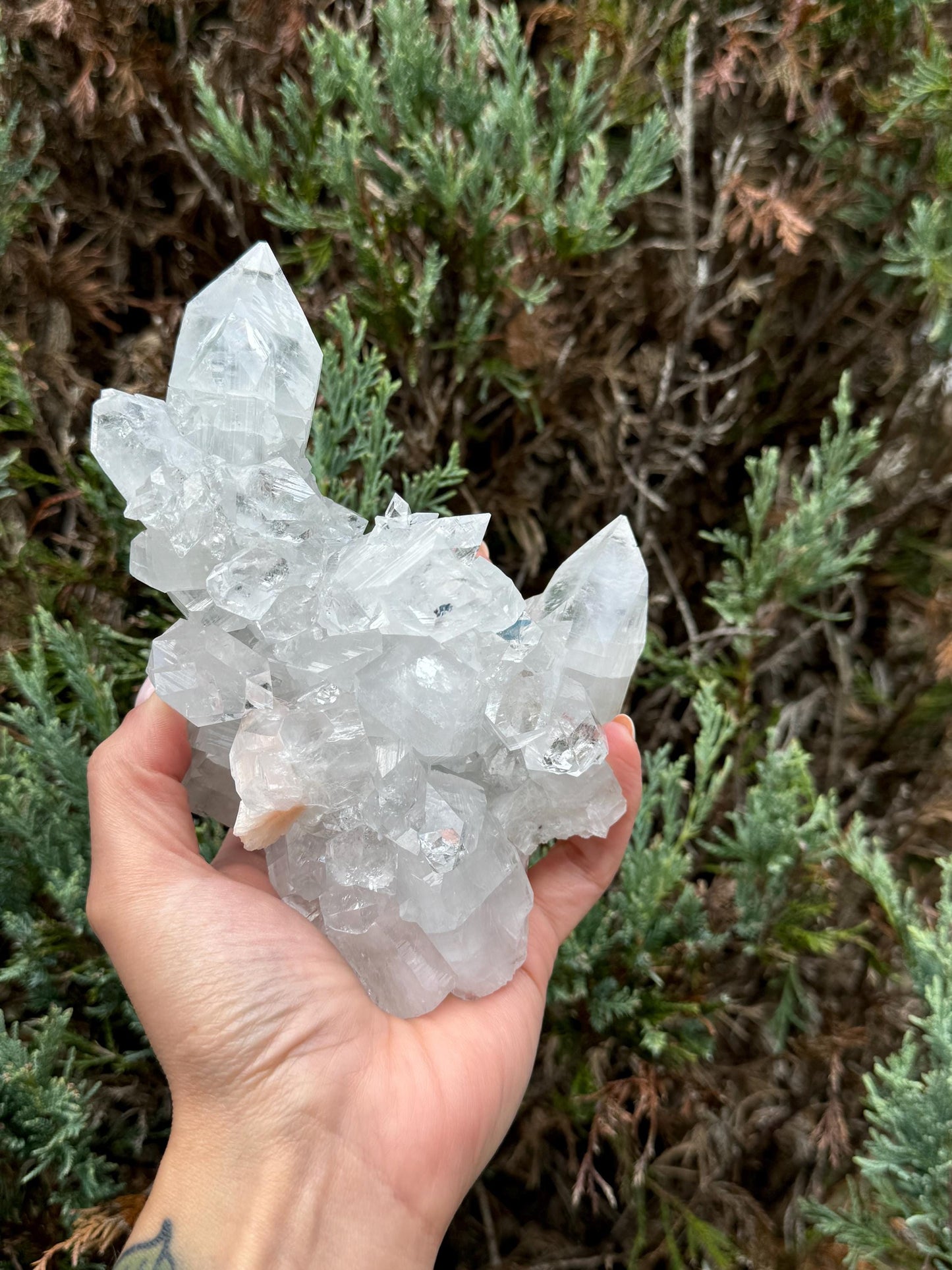 XL Indian Diamond Apophyllite & Pink Stilbite Specimen (1.87lbs)