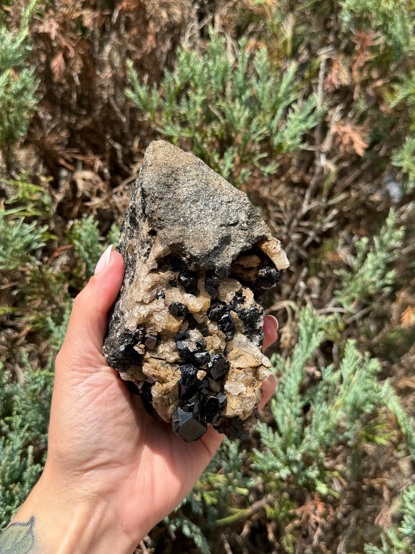 XL Raw High-Quality Black Tourmaline & Quartz Specimen (2.21lbs)