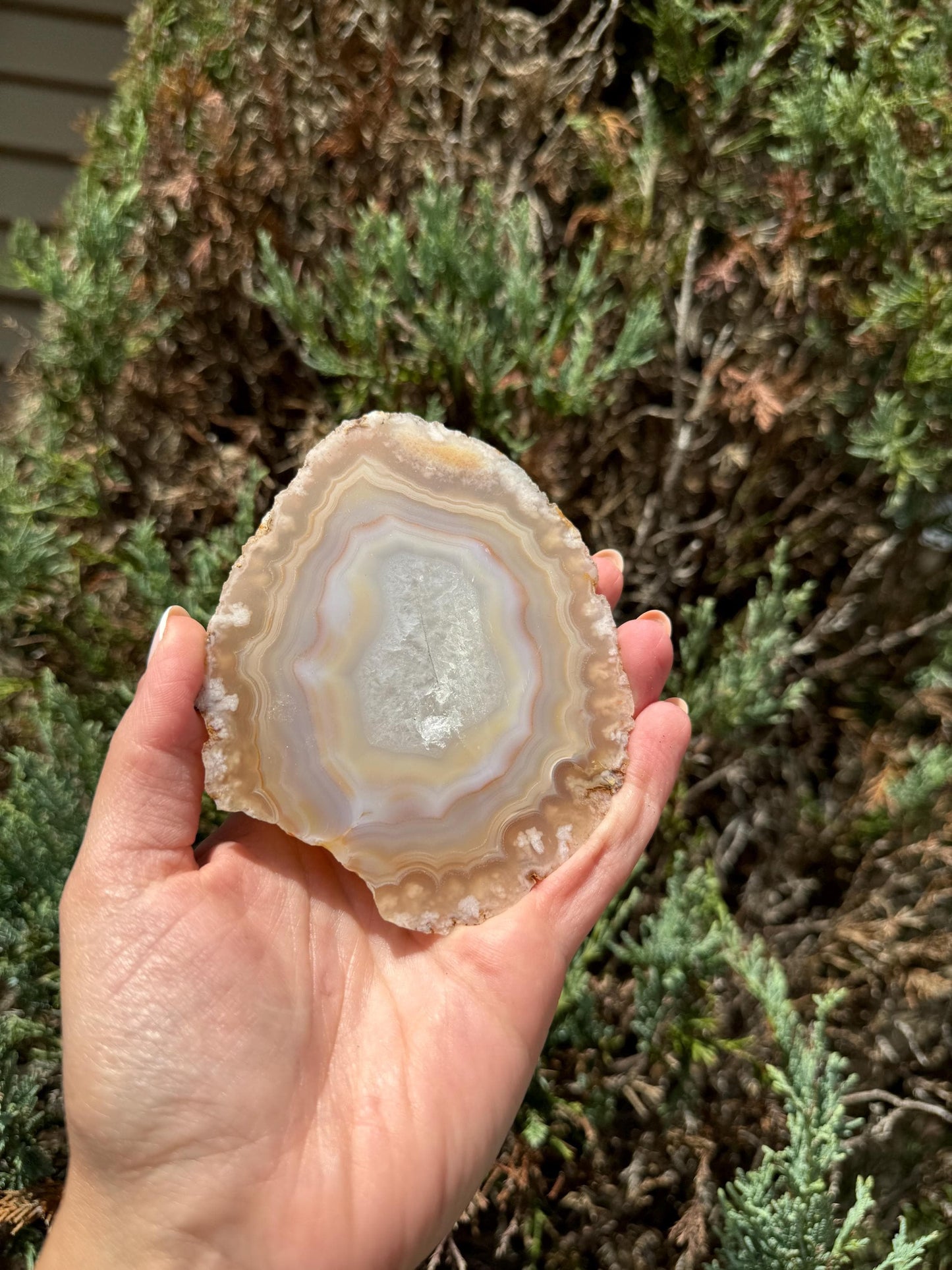 Flower Agate Slab