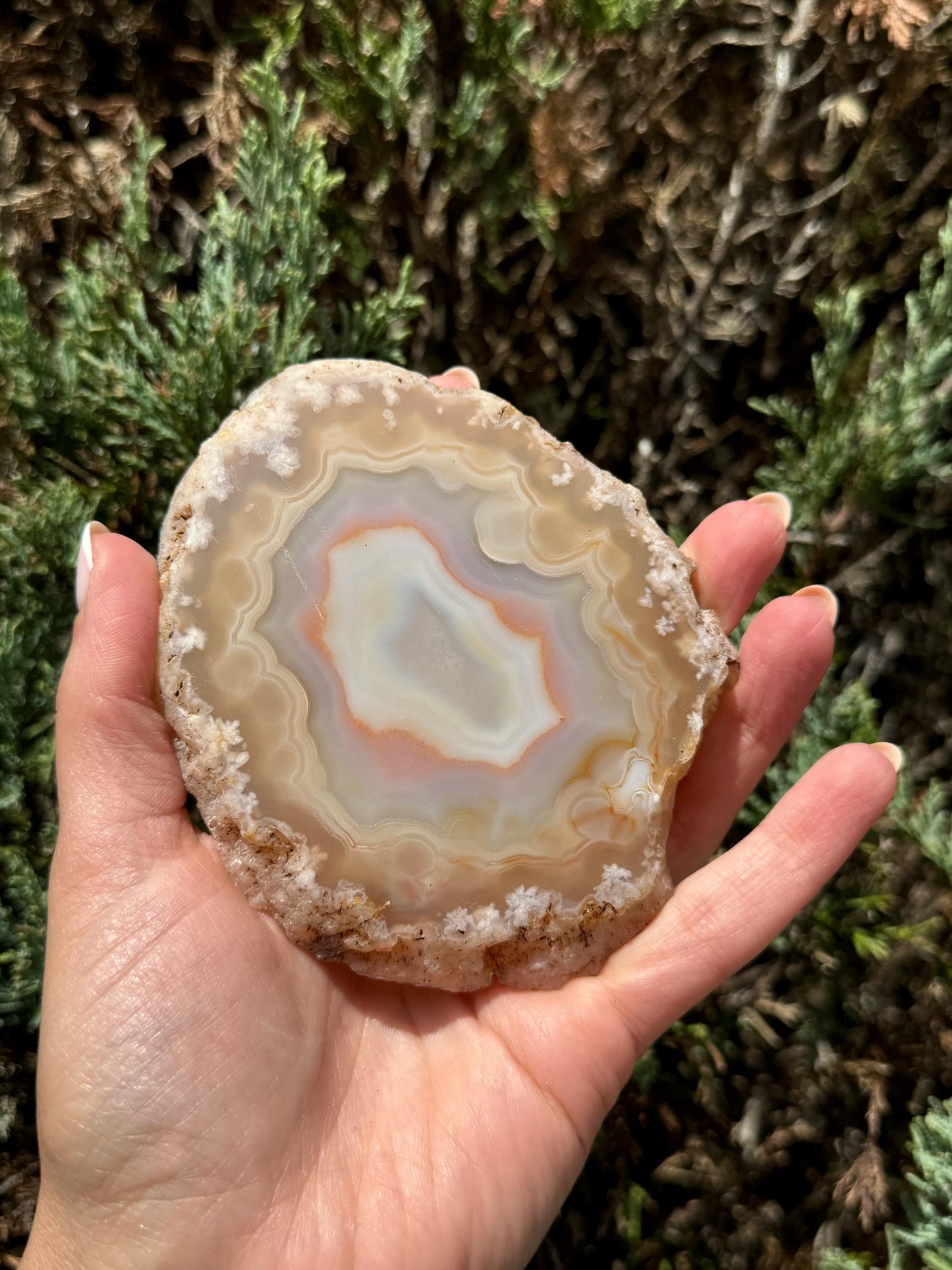 Flower Agate Slab