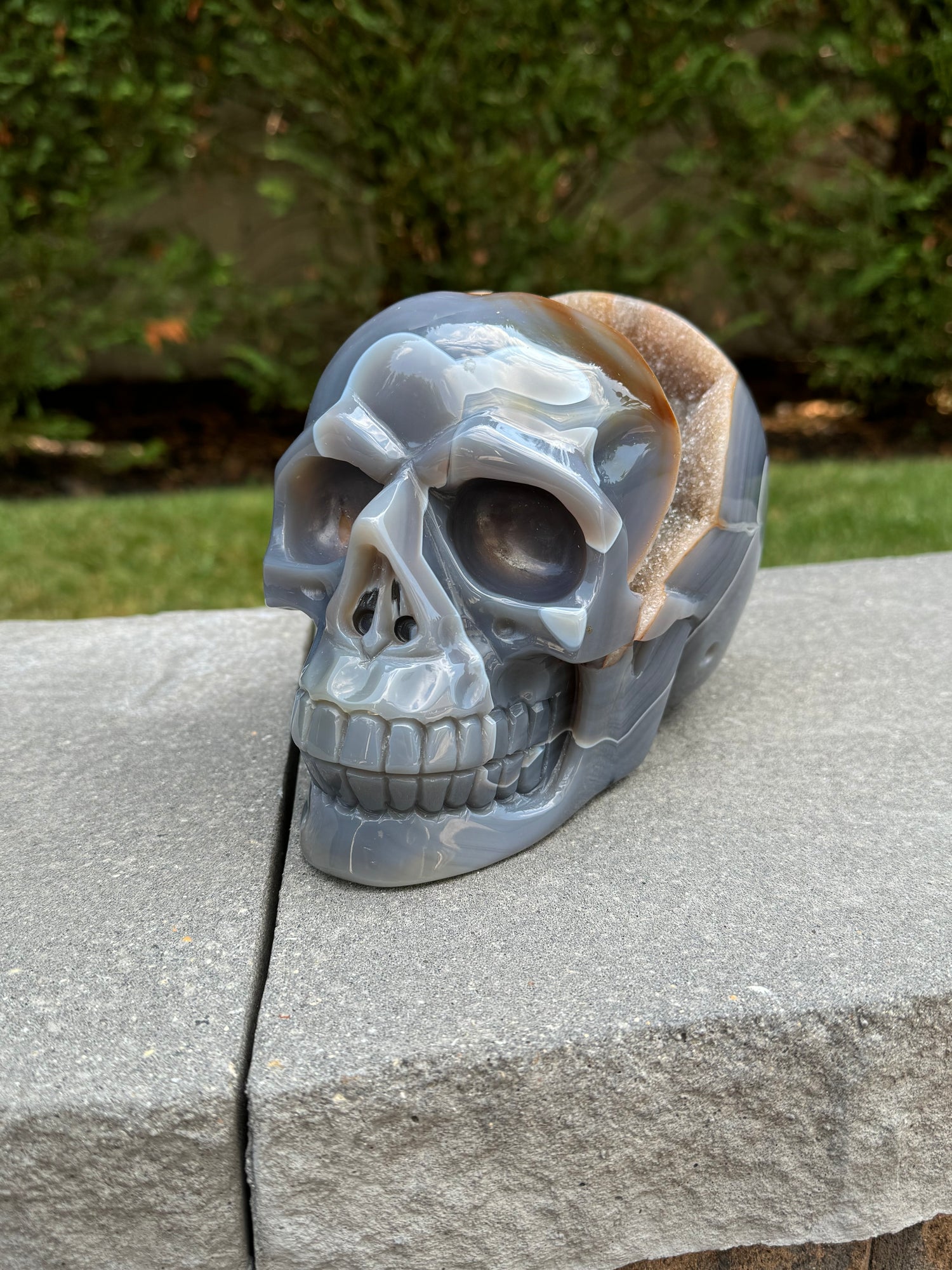 Skulls