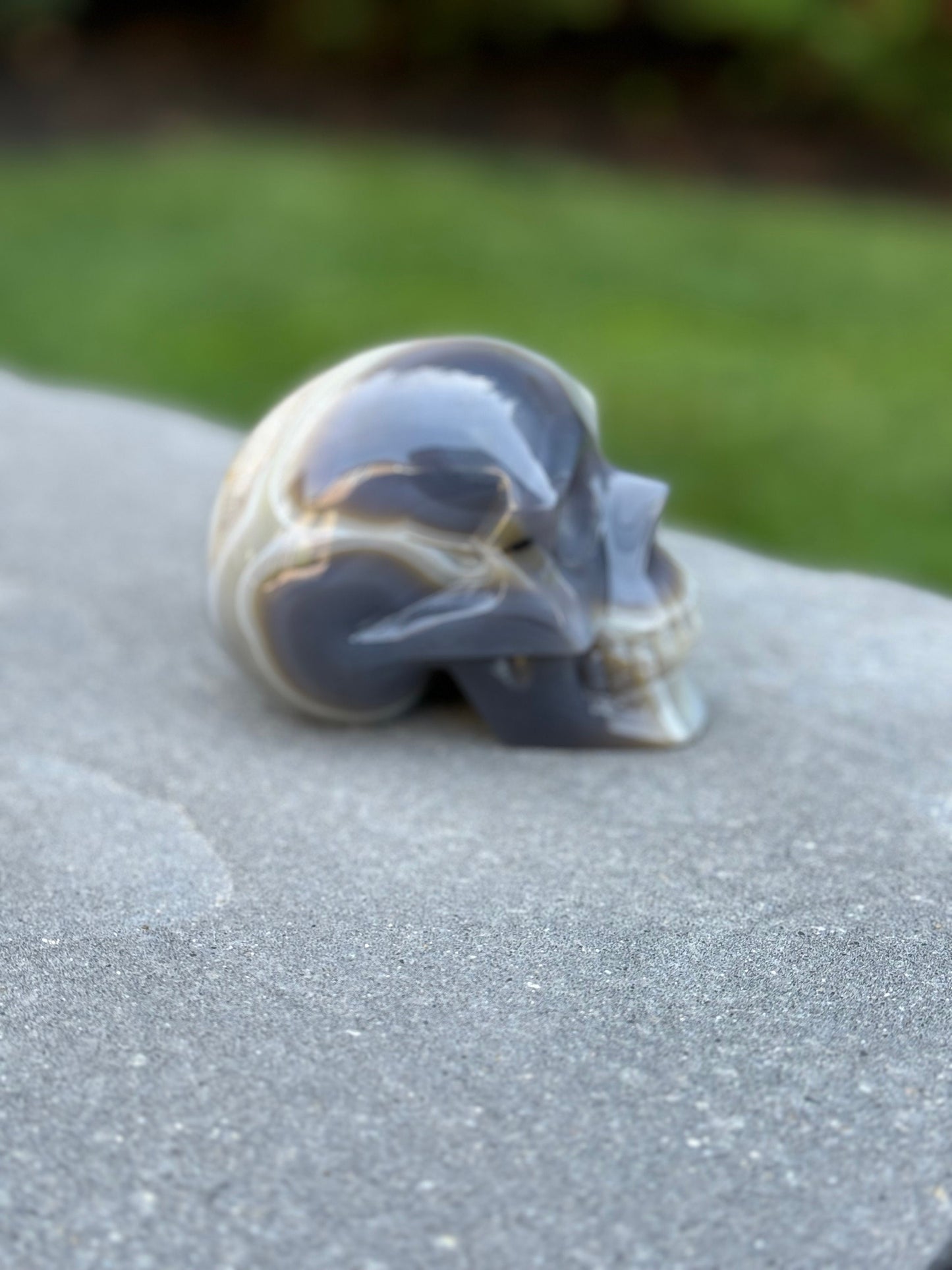 Druzy Banded Agate Dendritic Skull Carving (4.3")