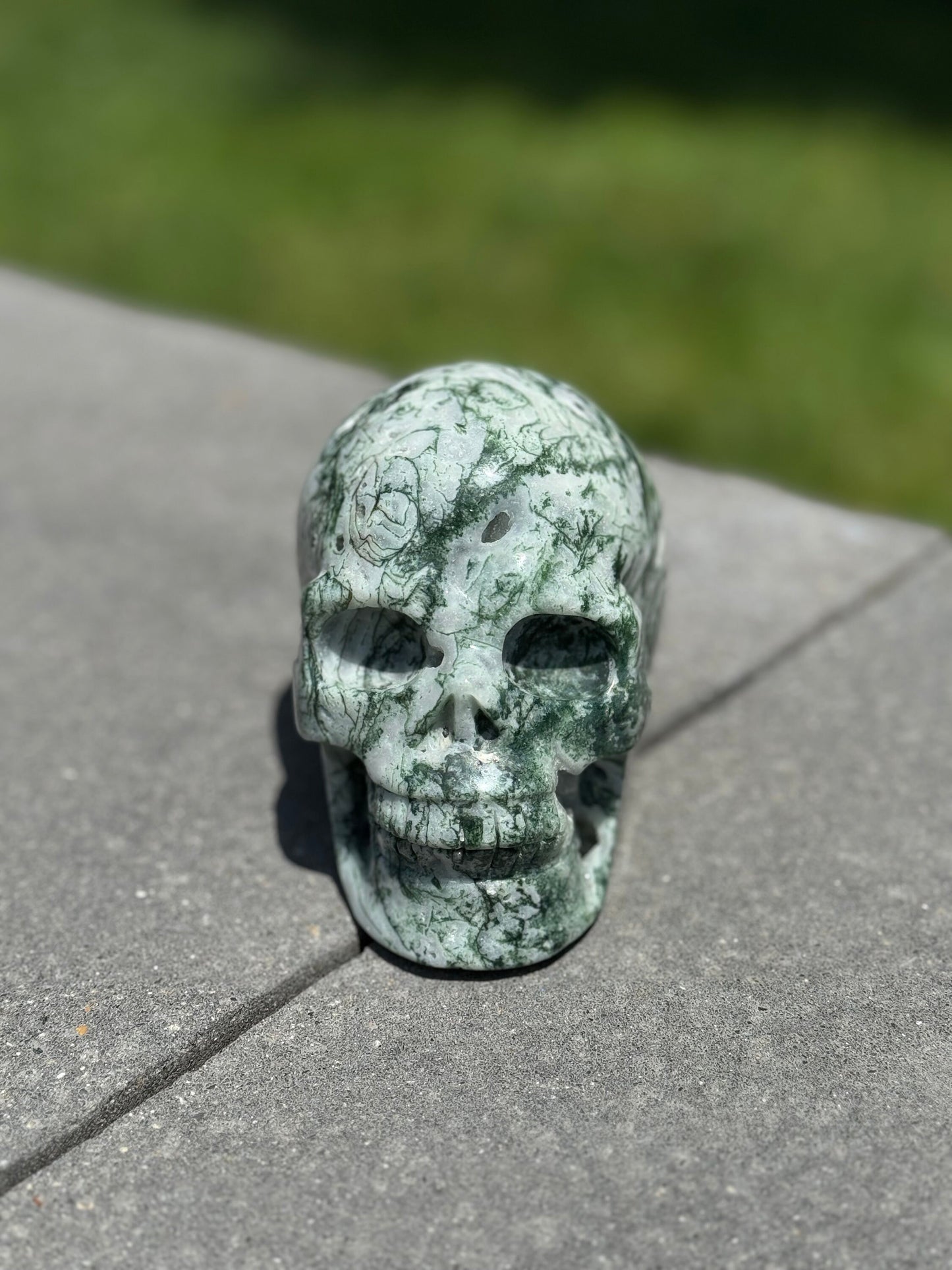 Tree Agate Hi-Def Skull Carving (4.5")