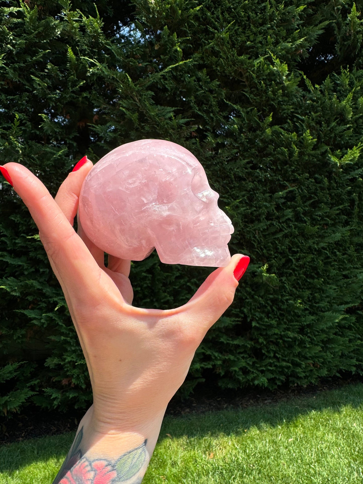 Rose Quartz Skull Carving (3.65")