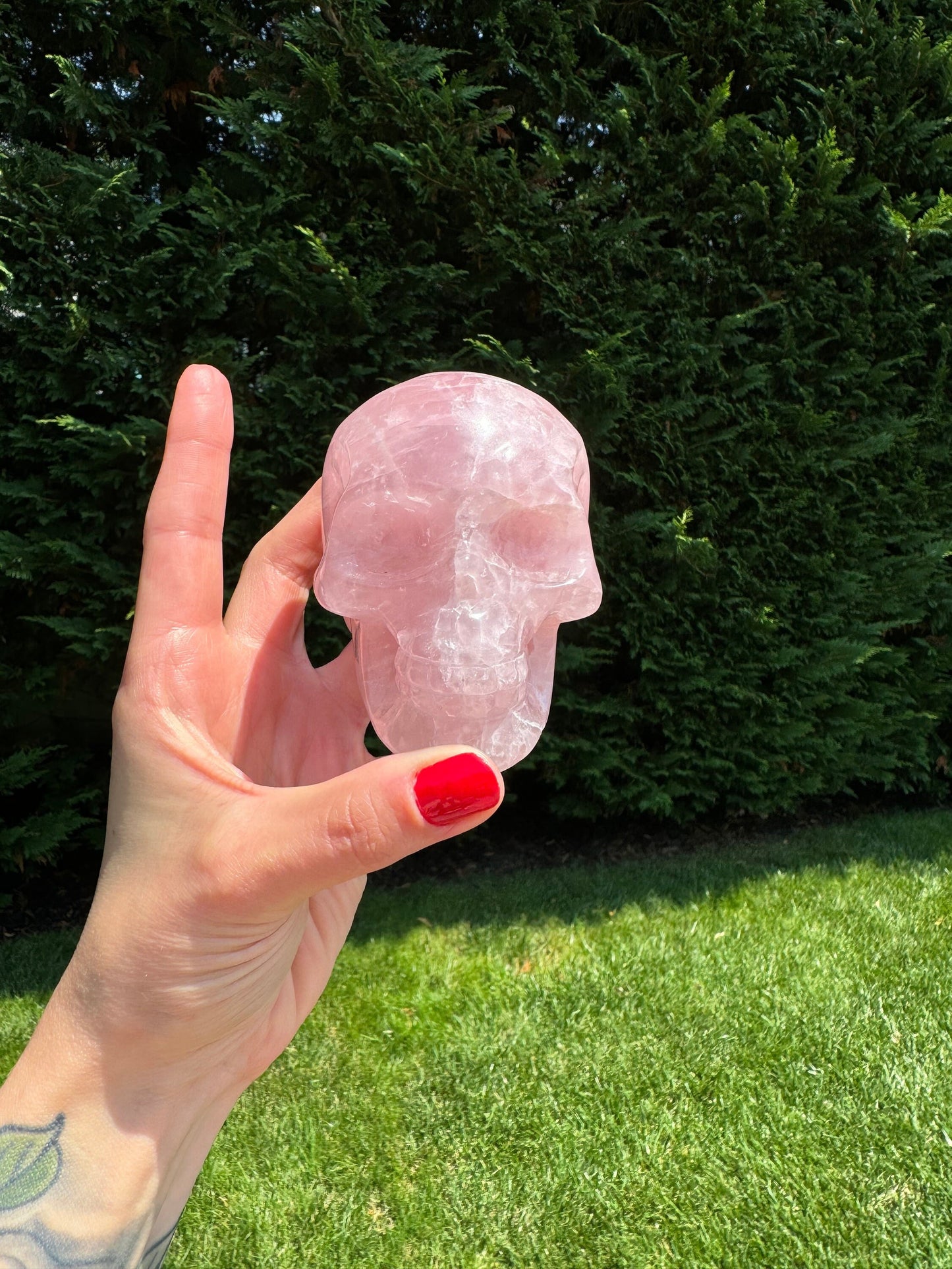 Rose Quartz Skull Carving (3.65")