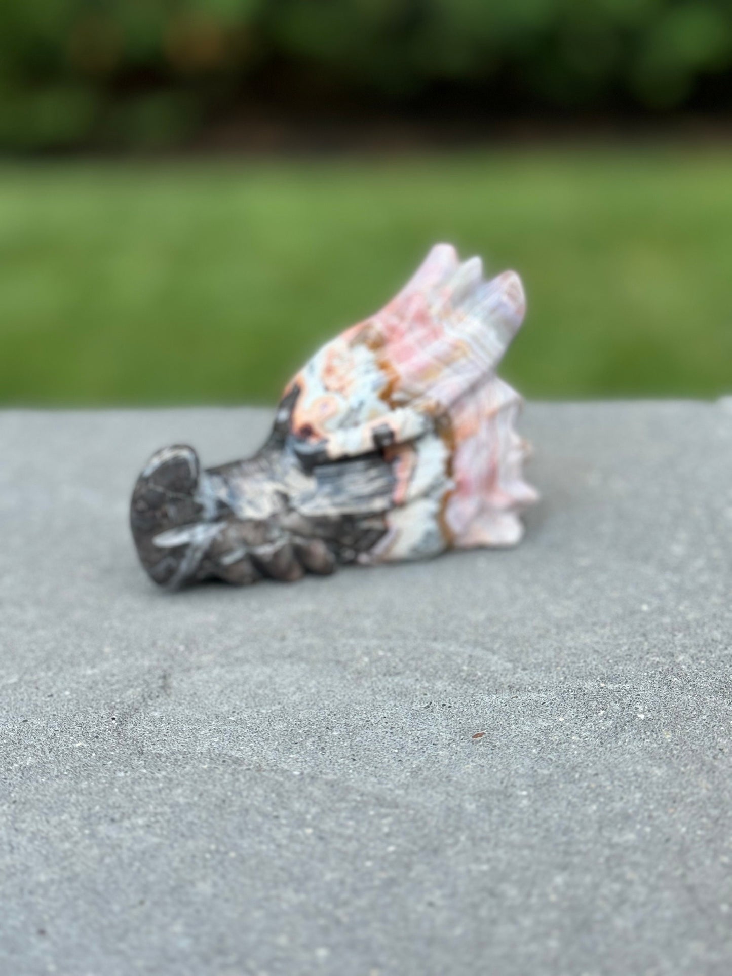 Mexican Crazy Lace Agate Dragon Head Carving