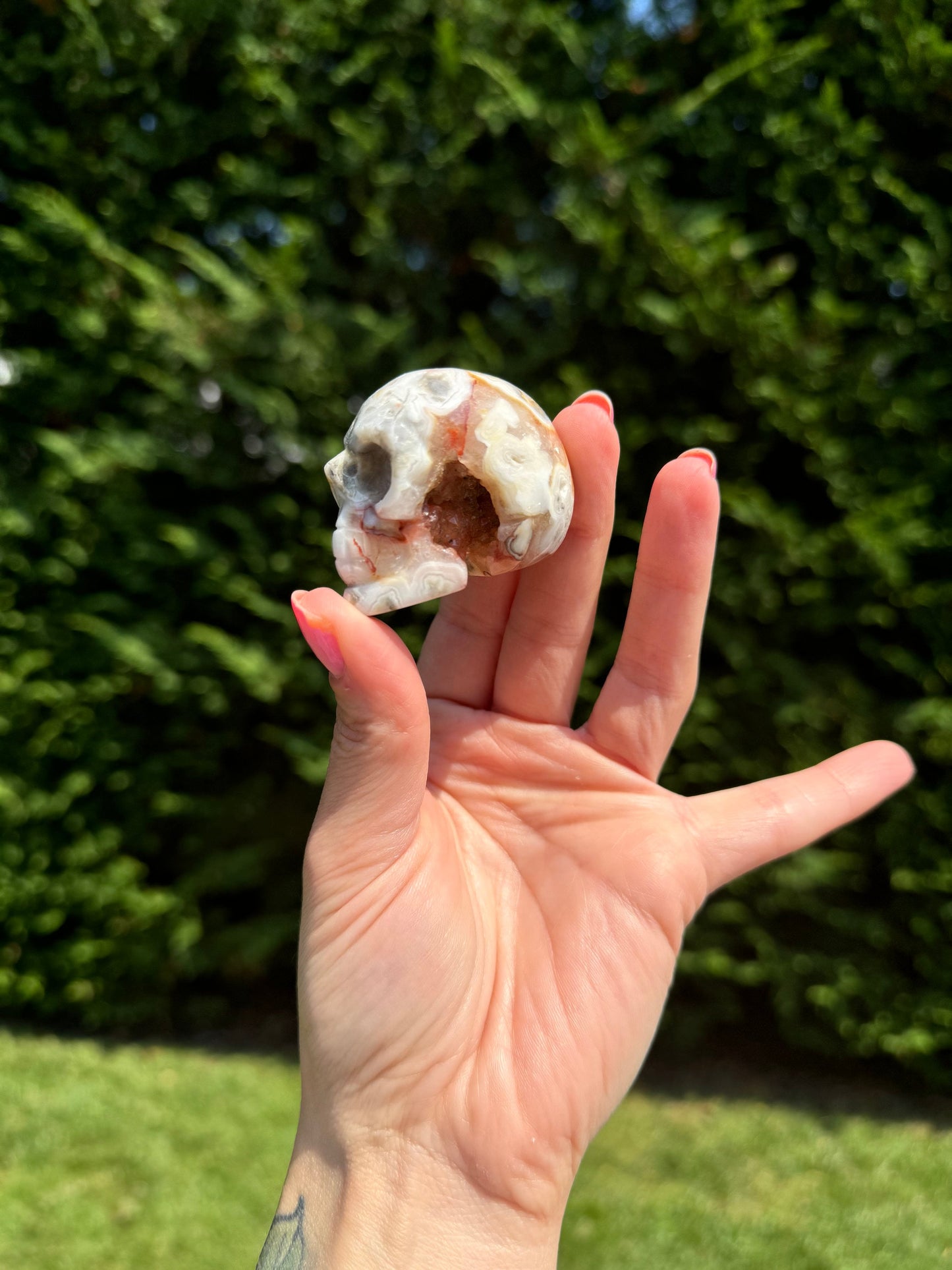 Druzy Crazy Lace Agate Skull