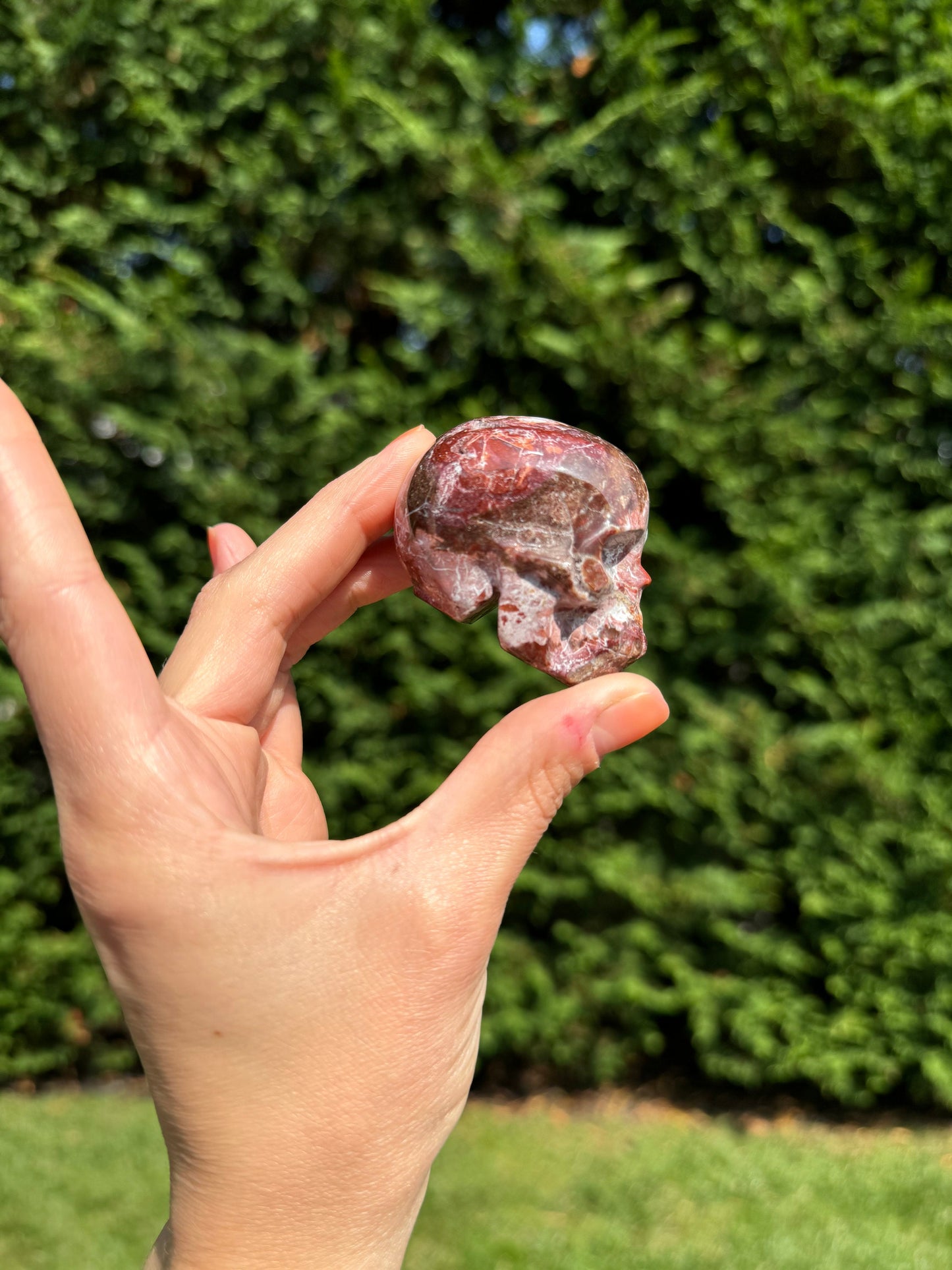 Druzy Mexican Crazy Lace Agate Skull