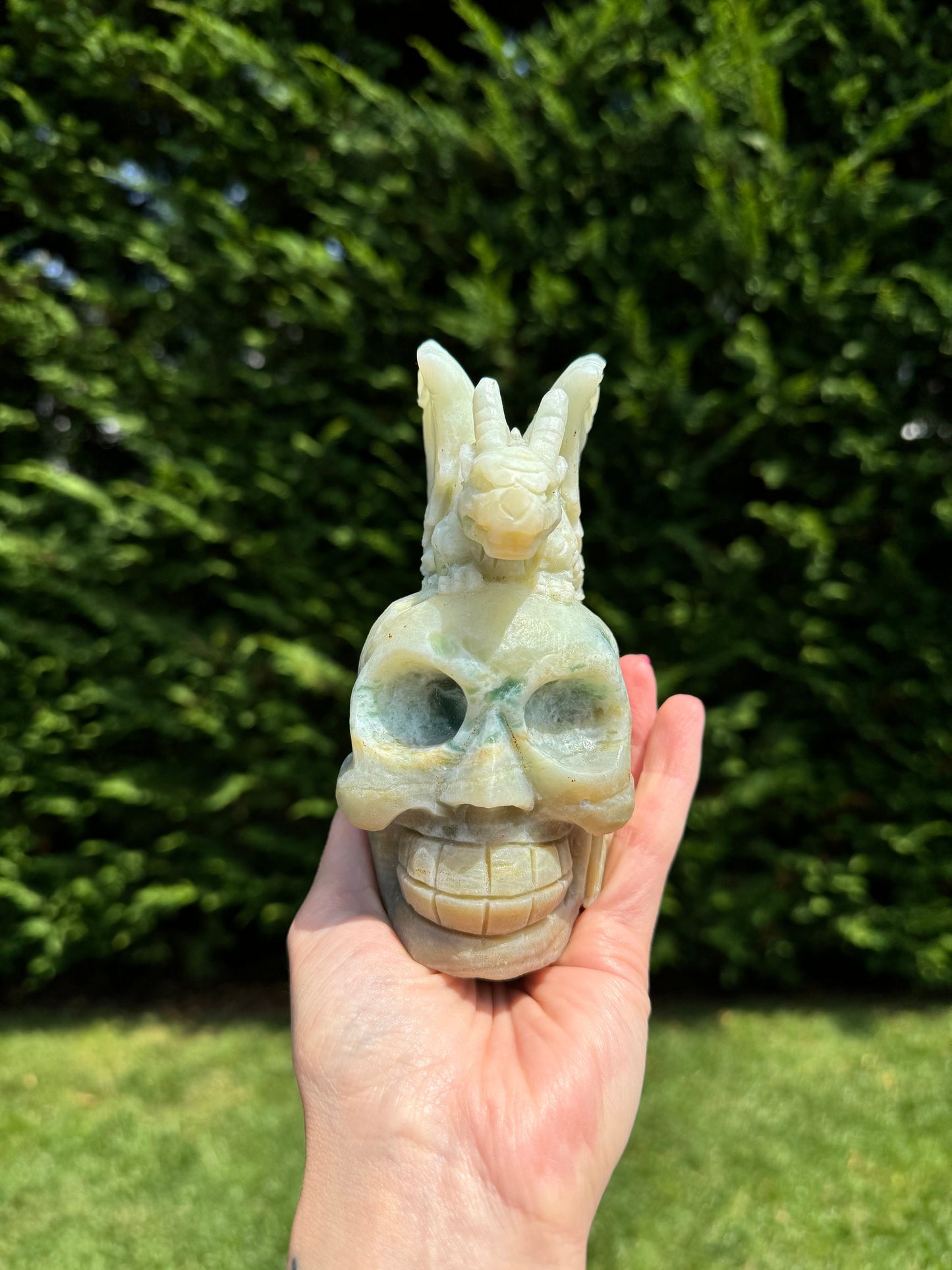 Caribbean Calcite Skull & Dragon Carving