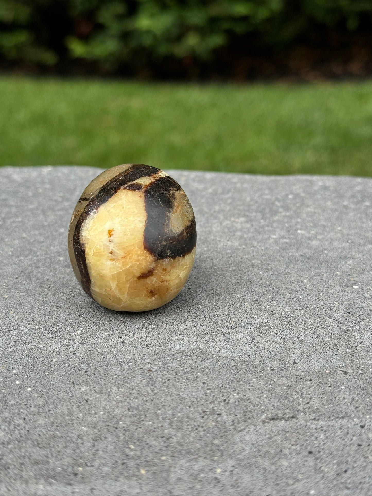 Septarian Skull Carving (2.15")