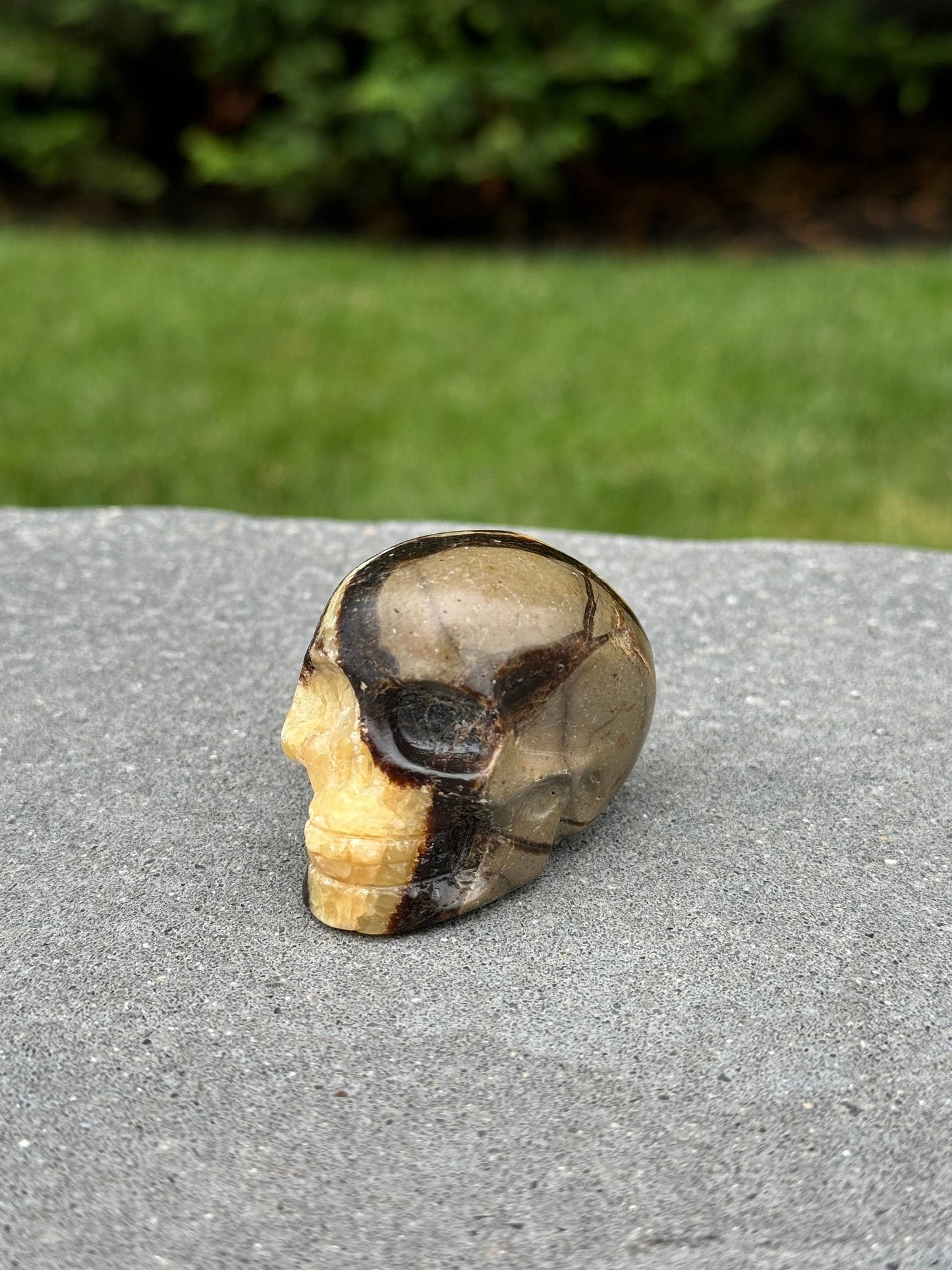 Septarian Skull Carving (2.15")