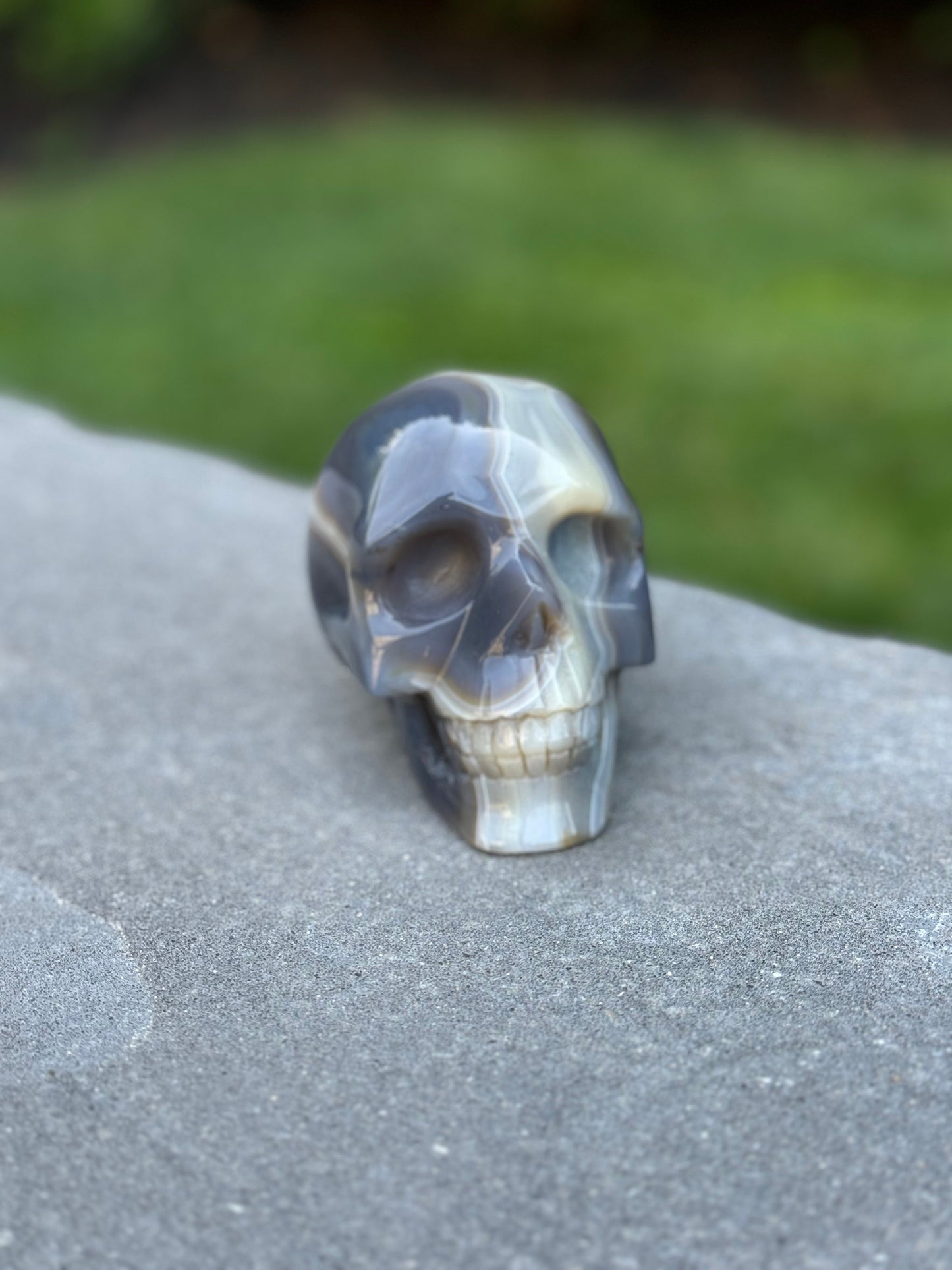 Druzy Banded Agate Dendritic Skull Carving (4.3")