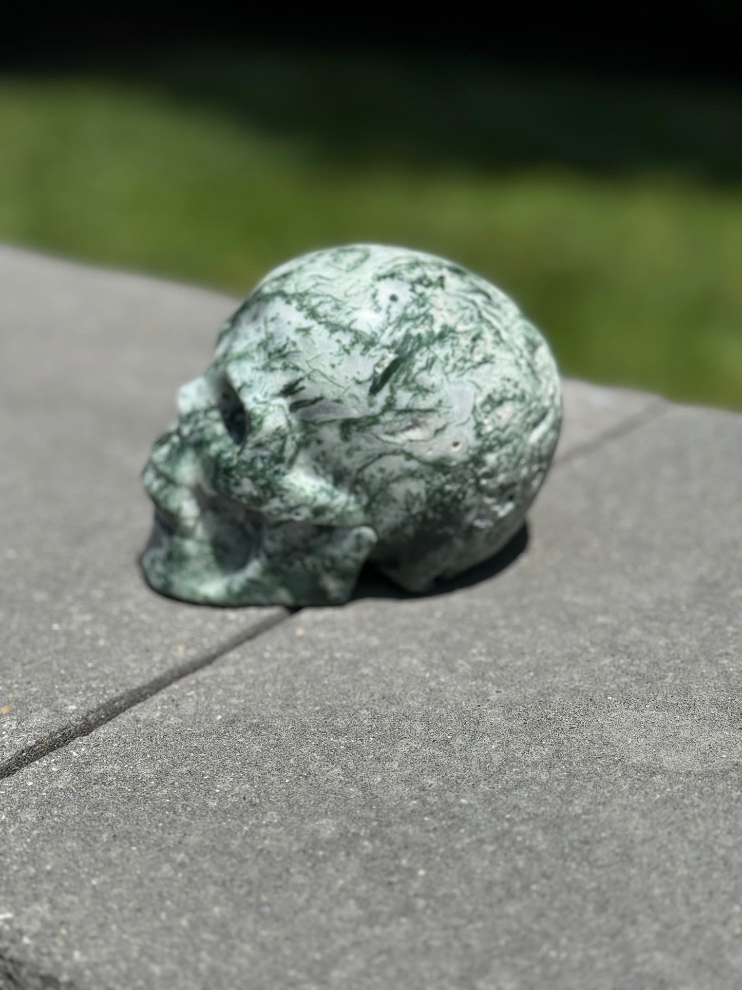 Tree Agate Hi-Def Skull Carving (4.5")