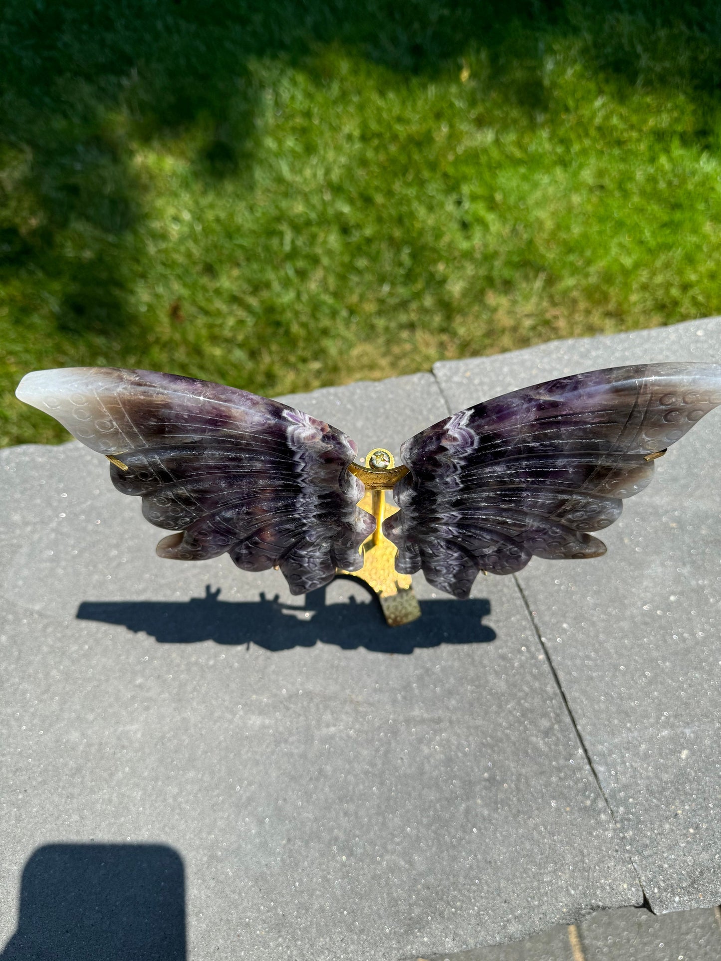 Chevron Amethyst Butterfly Wings