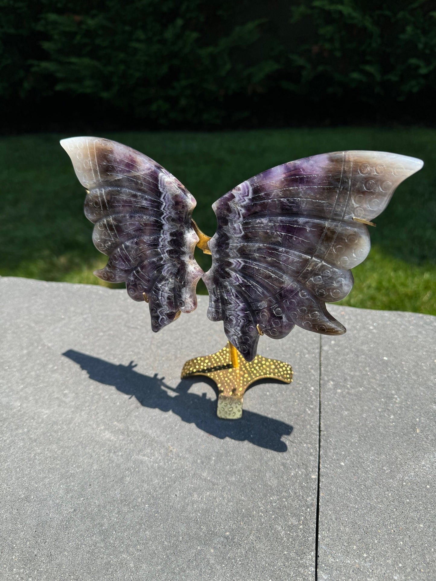 Chevron Amethyst Butterfly Wings