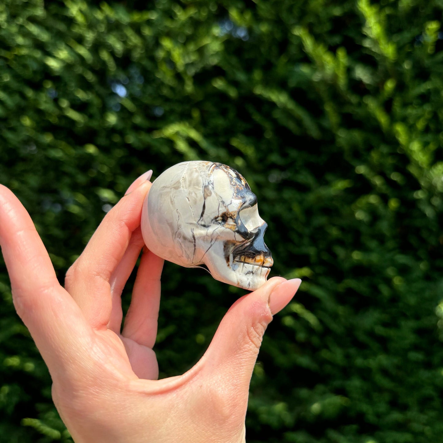 Chocolate Calcite Skull Carving